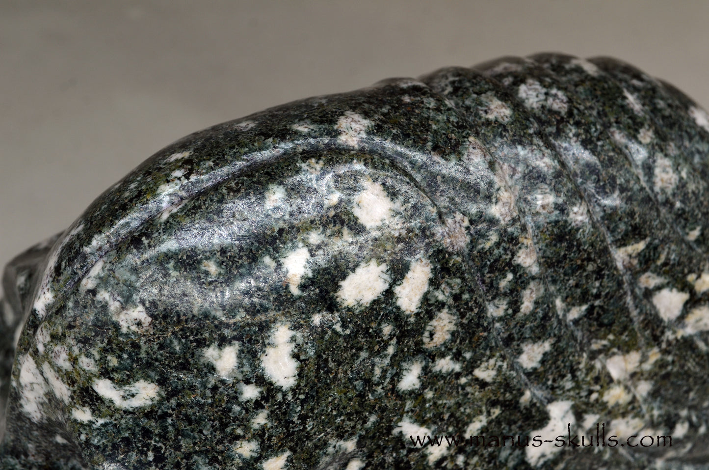XL Preseli Bluestone Spiral Skull with FREE brainstem pendant!