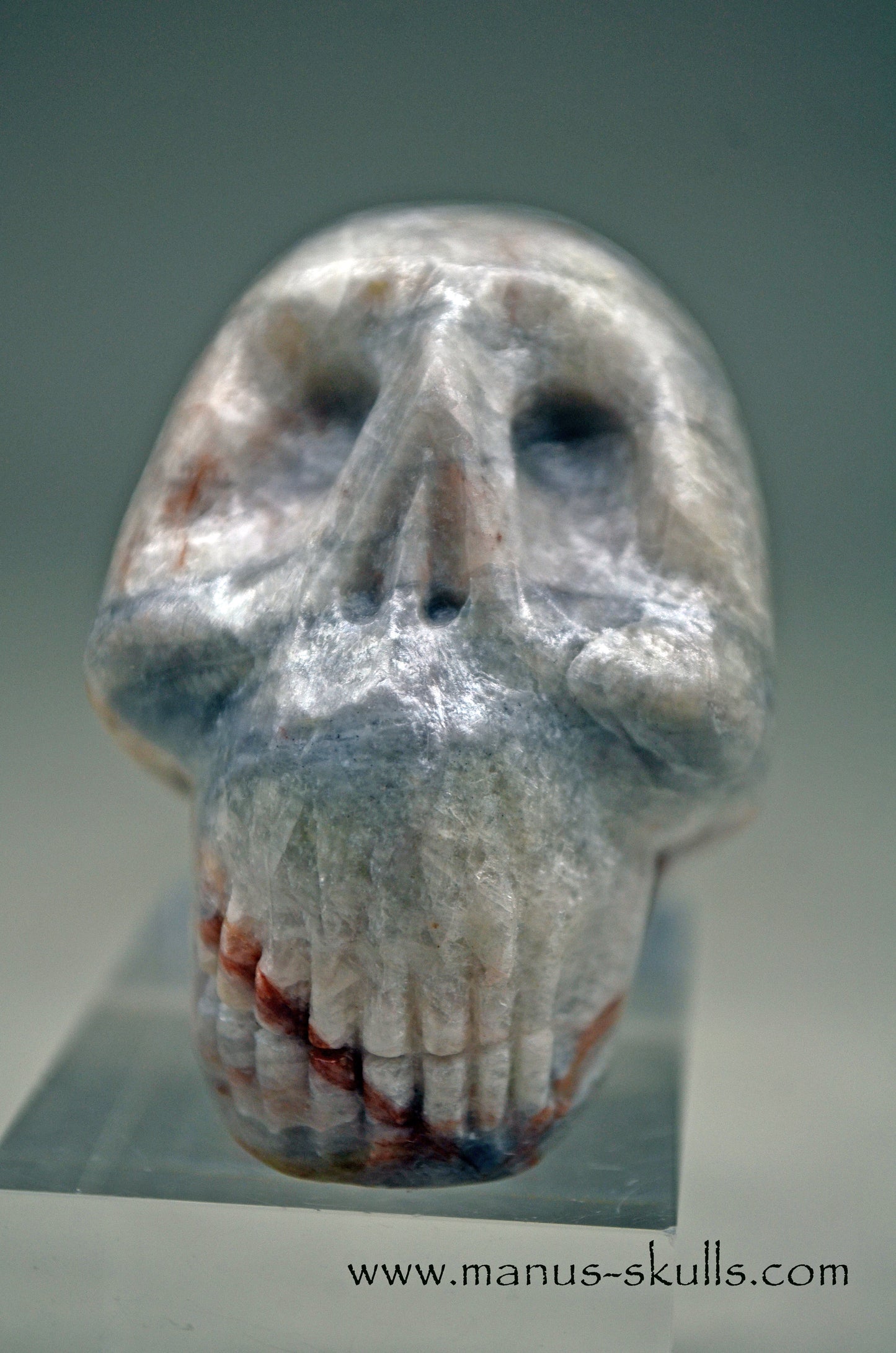 Manus Magnesite Skull