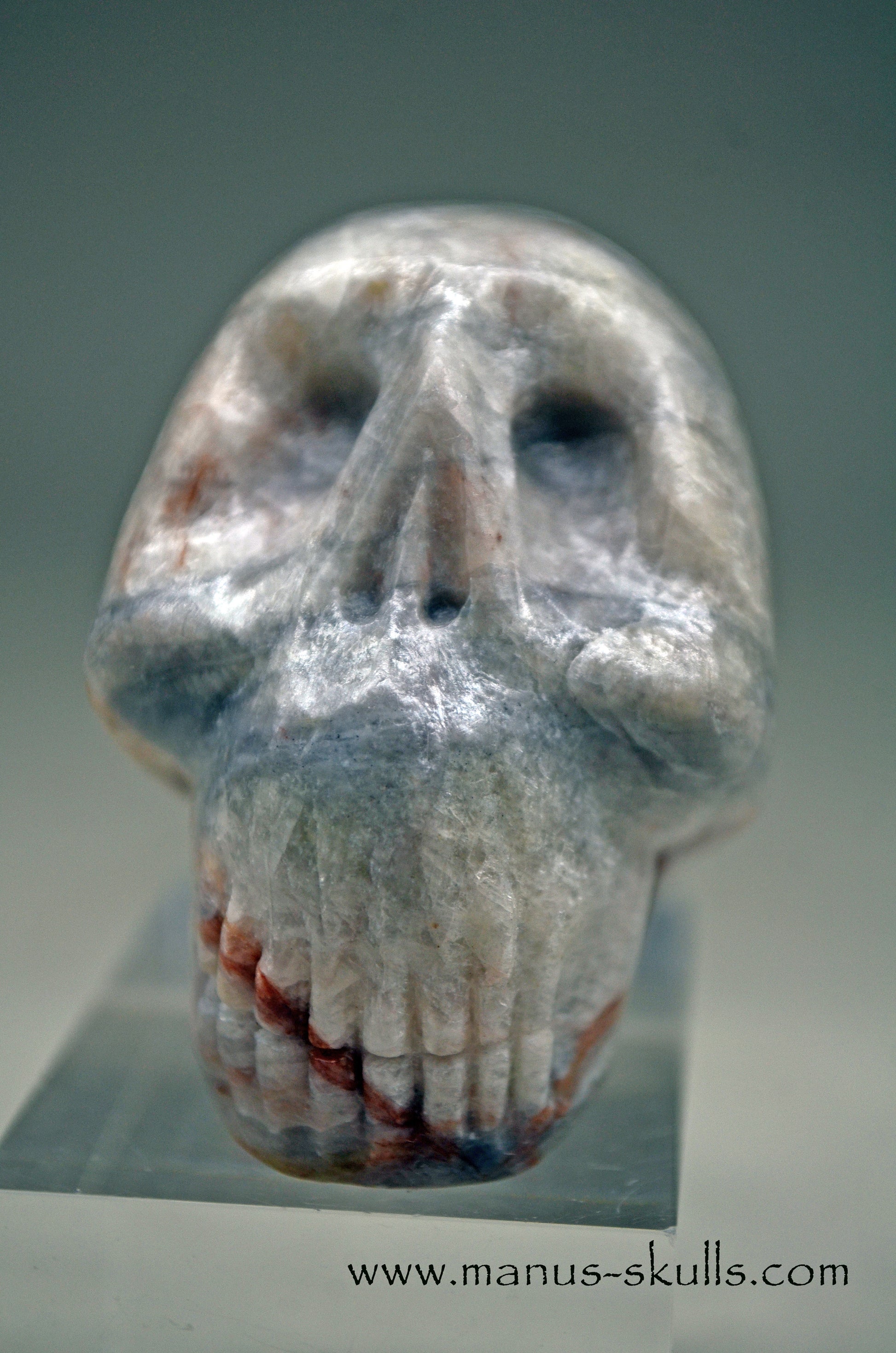 Manus Magnesite Skull
