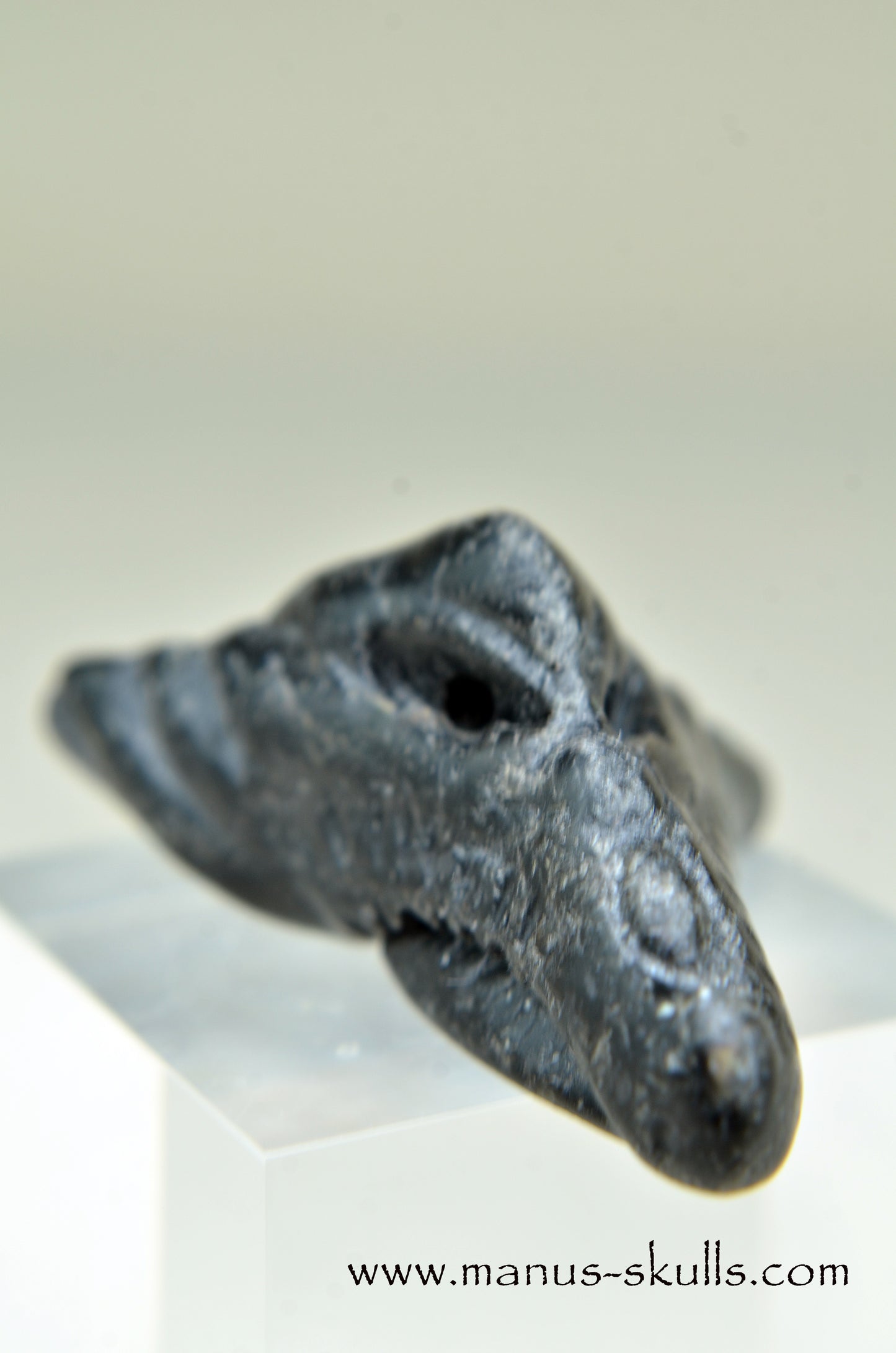 Nuummite Baby Dragon