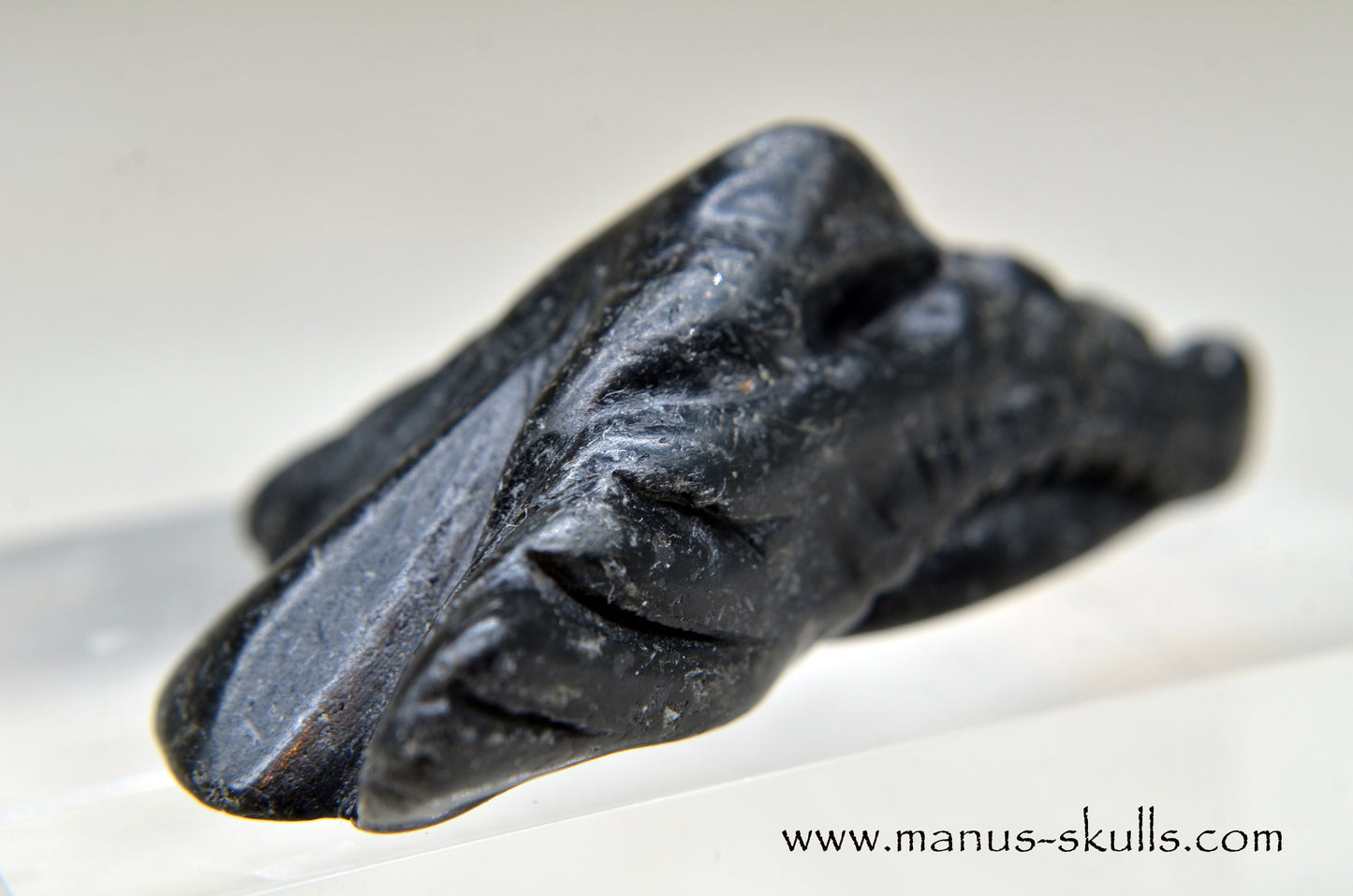 Nuummite Baby Dragon