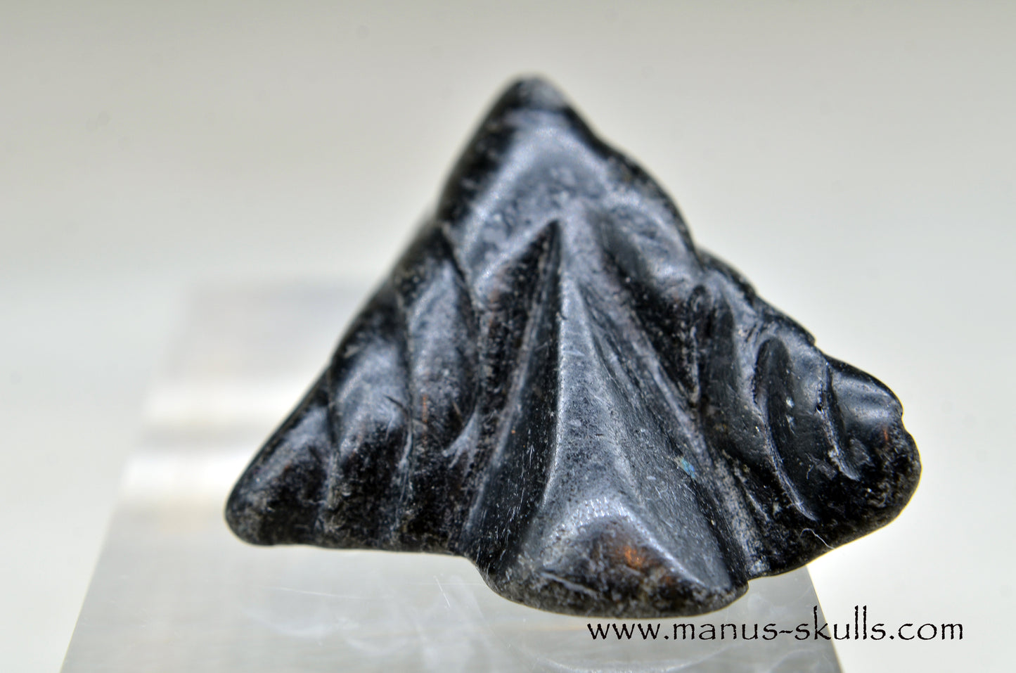 Nuummite Baby Dragon