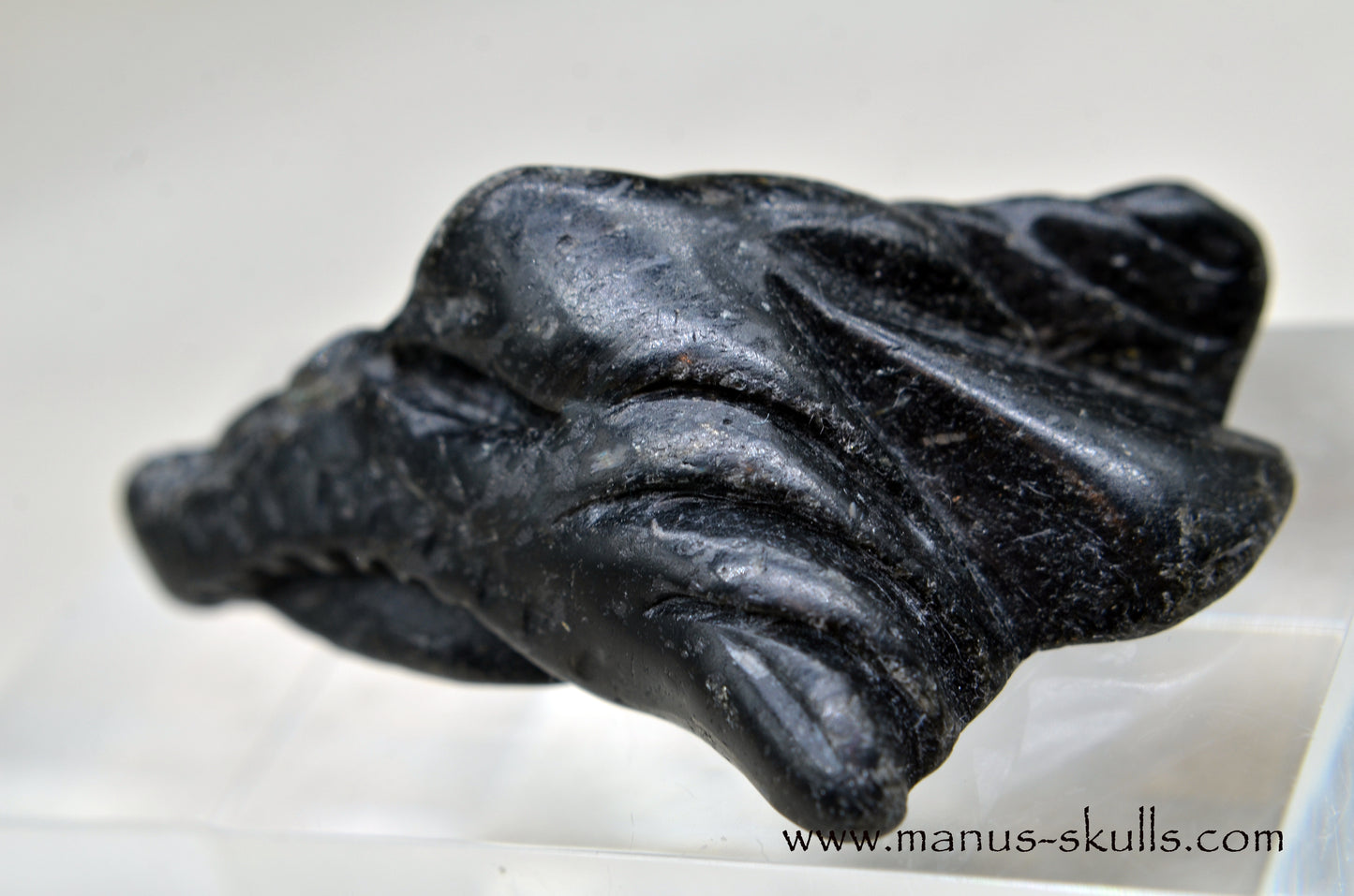 Nuummite Baby Dragon