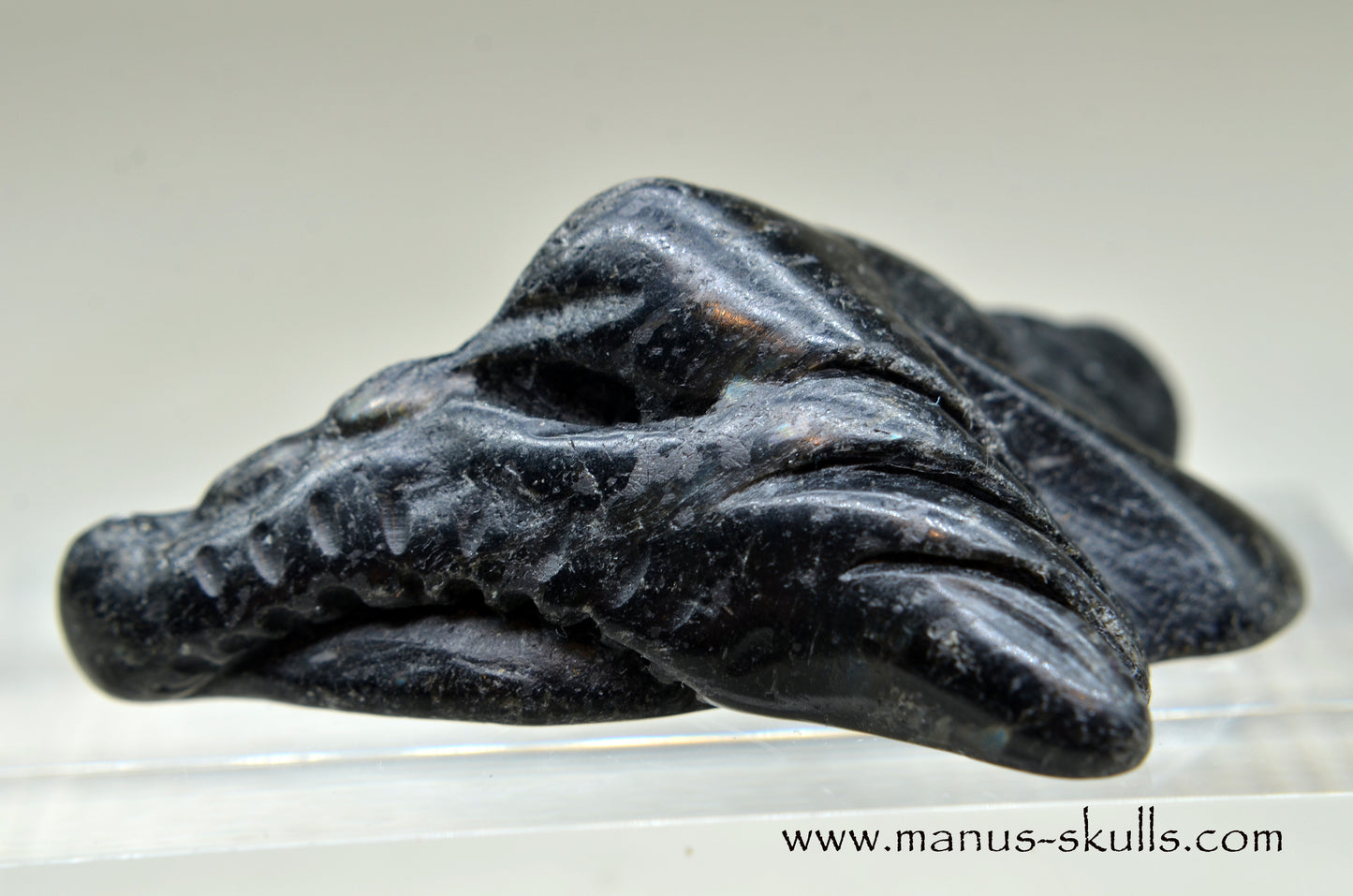 Nuummite Baby Dragon