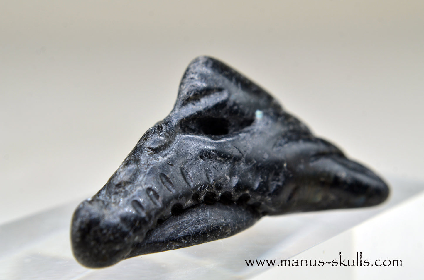 Nuummite Baby Dragon