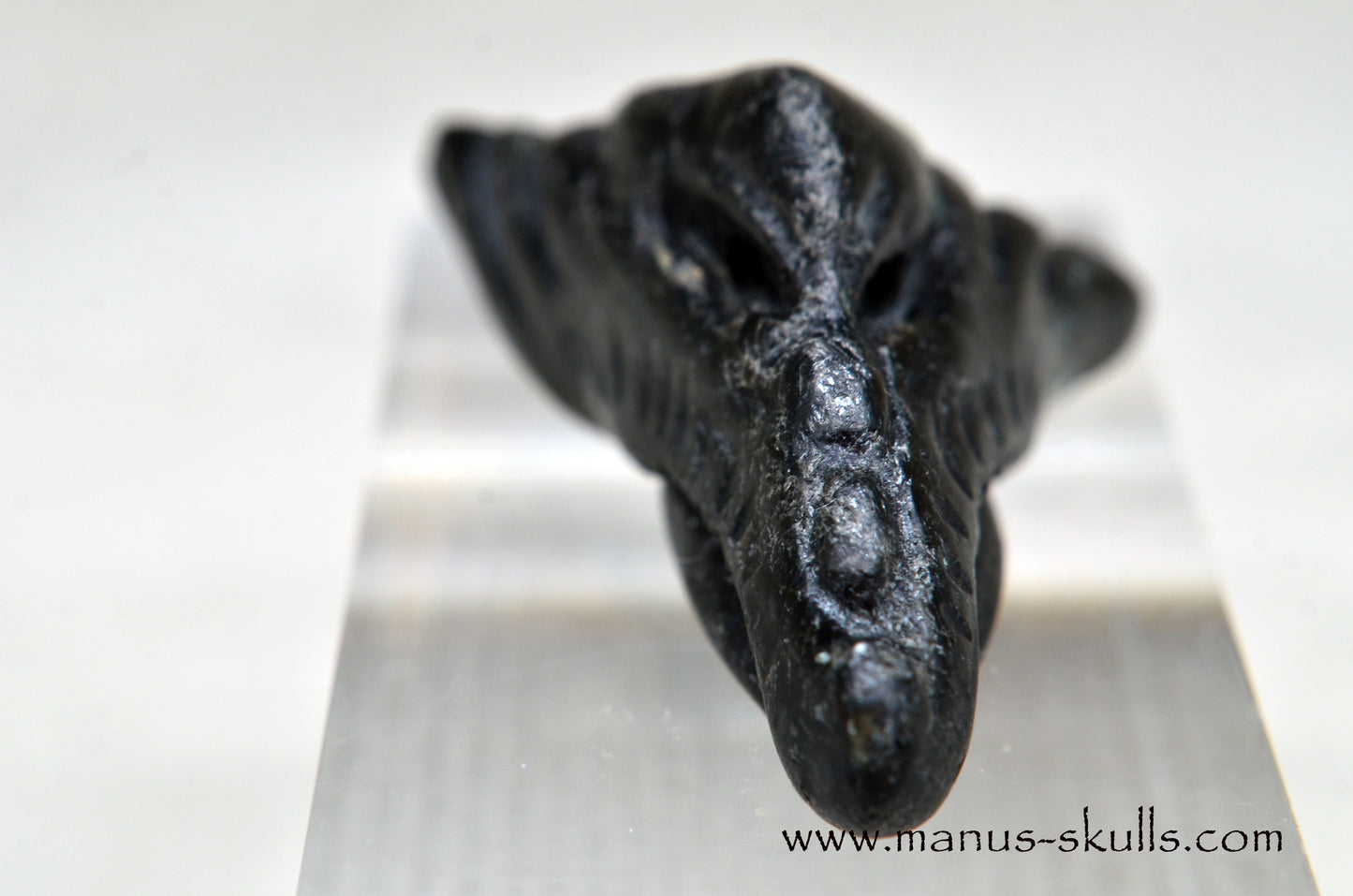 Nuummite Baby Dragon