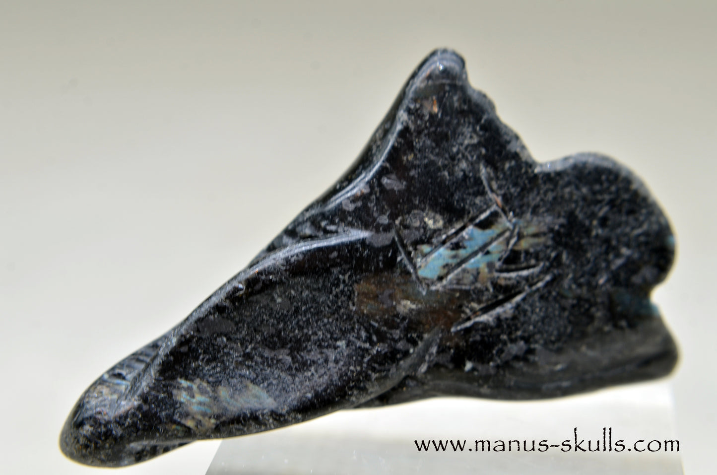 Nuummite Baby Dragon