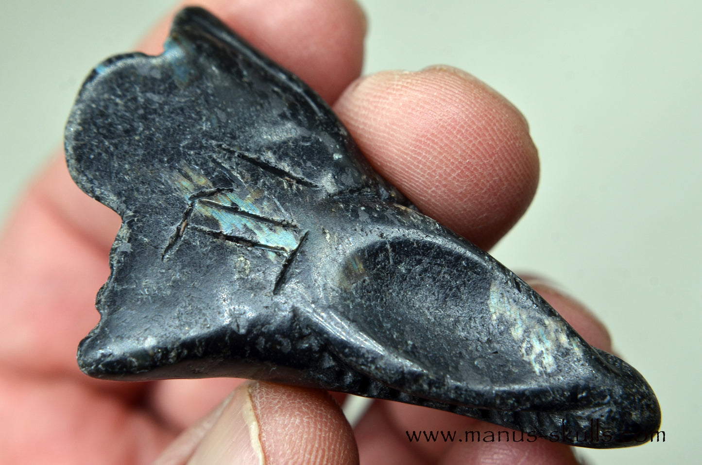 Nuummite Baby Dragon