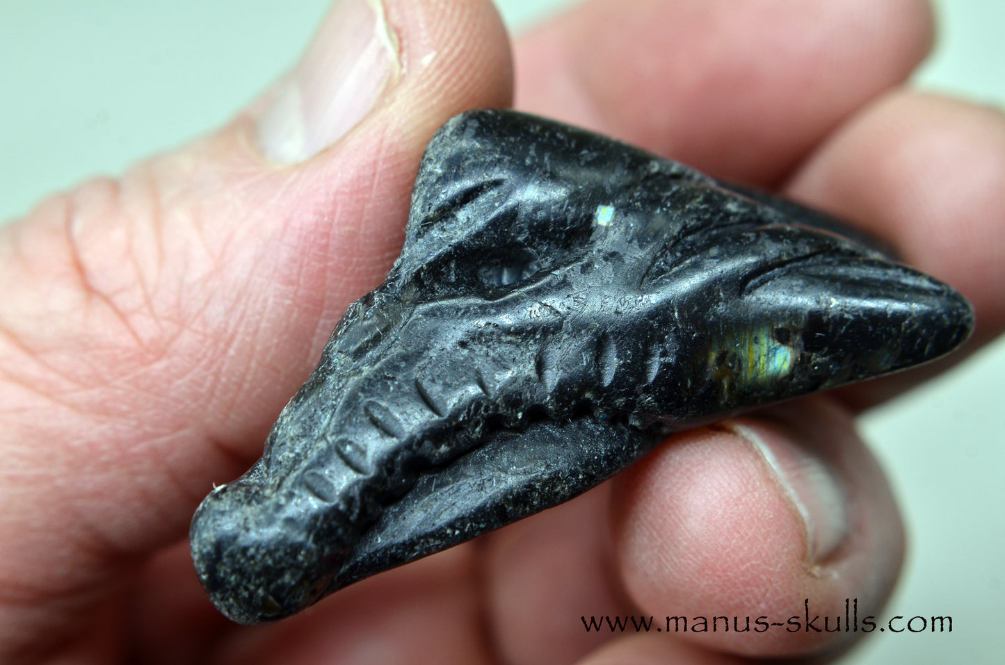 Nuummite Baby Dragon