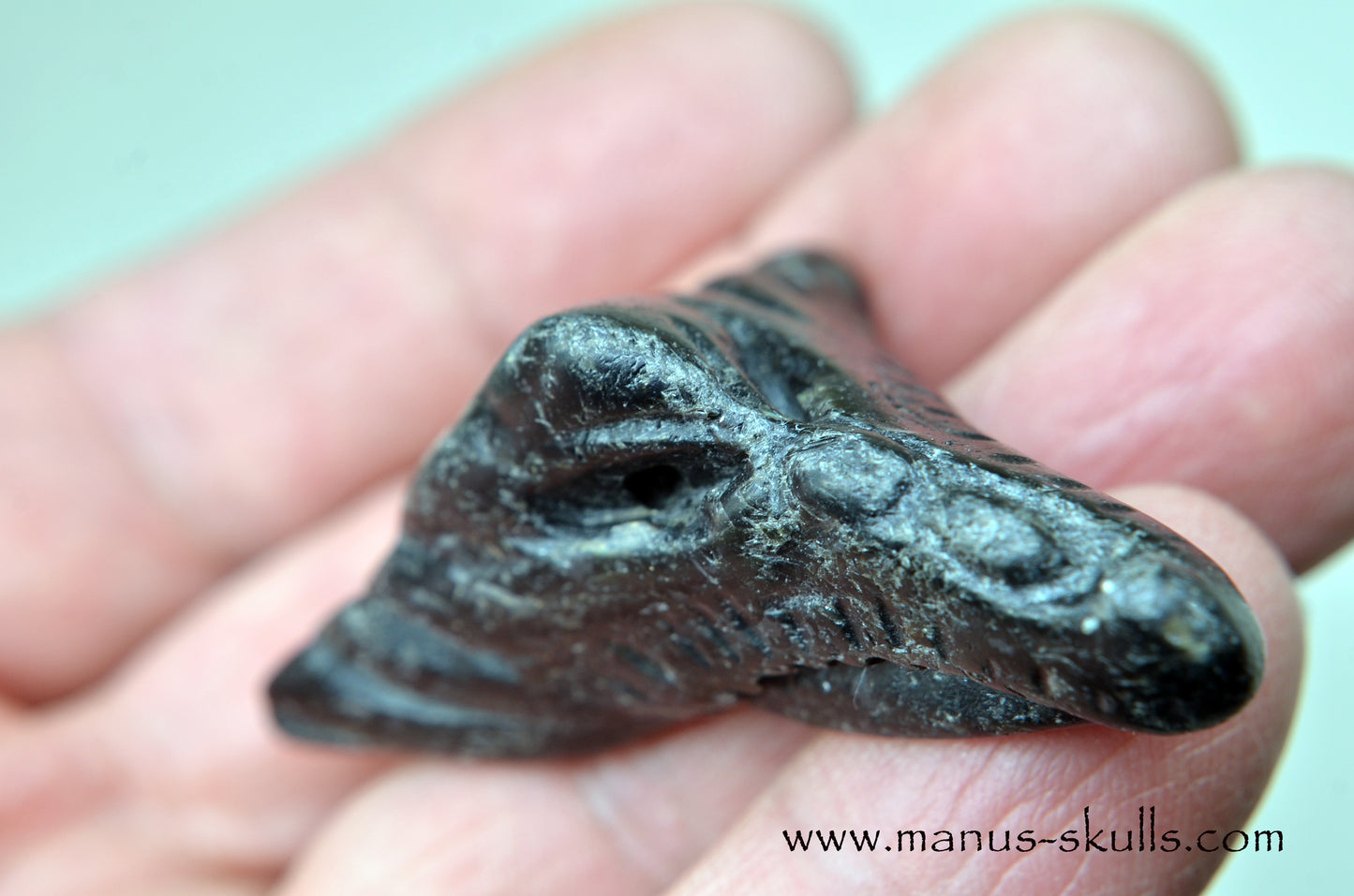 Nuummite Baby Dragon