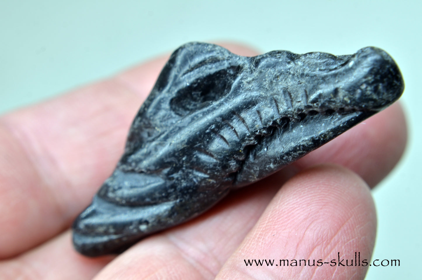 Nuummite Baby Dragon