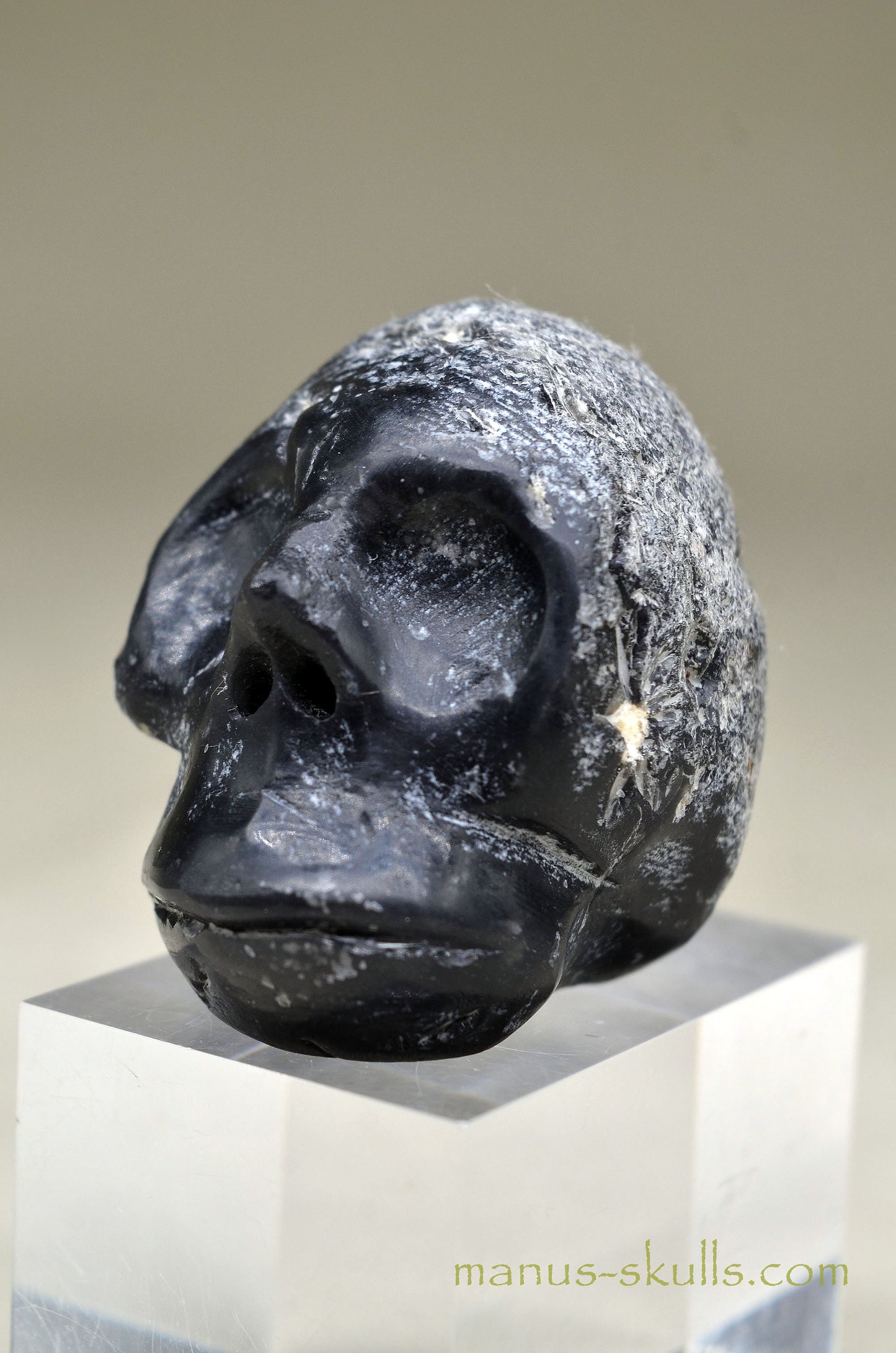 Agni Manitite Skull