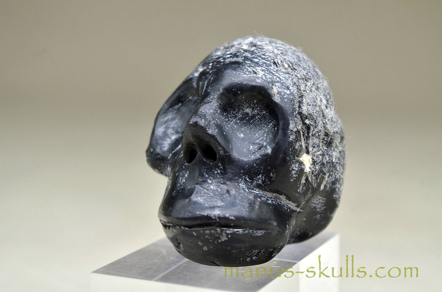 Agni Manitite Skull