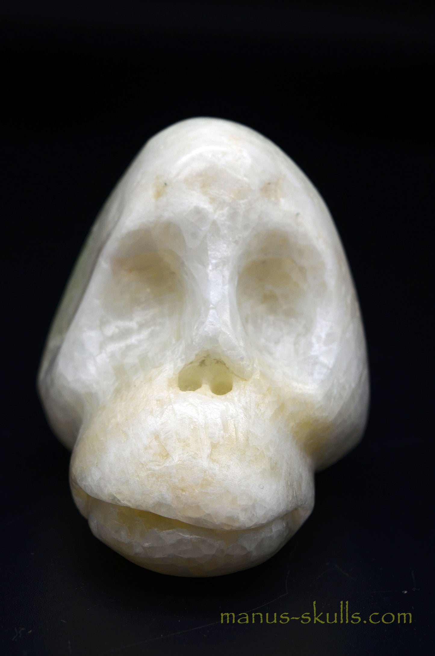 Visokalcite Manus Skull