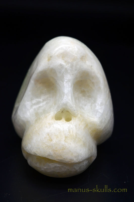 Visokalcite Manus Skull