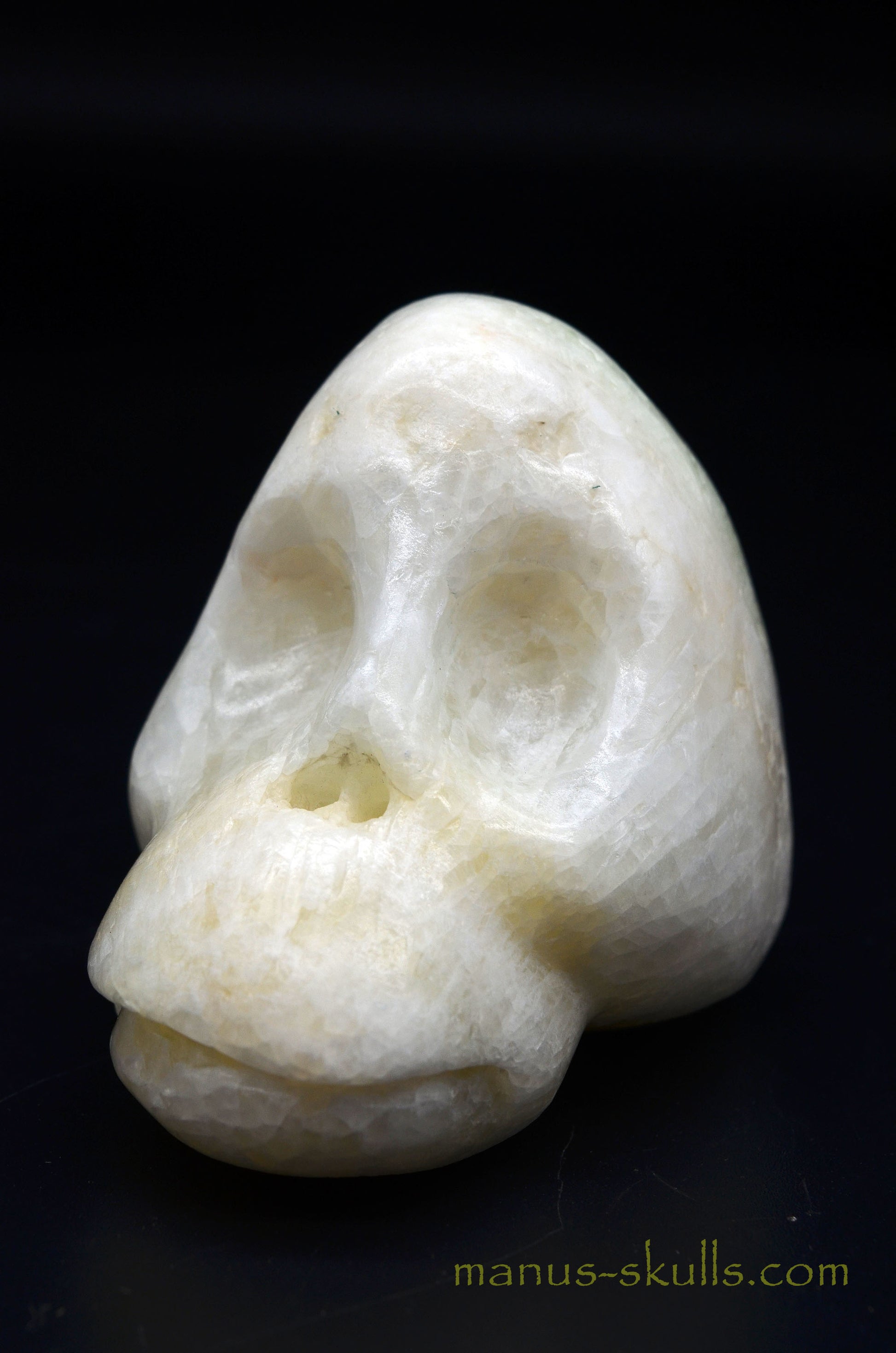 Visokalcite Manus Skull