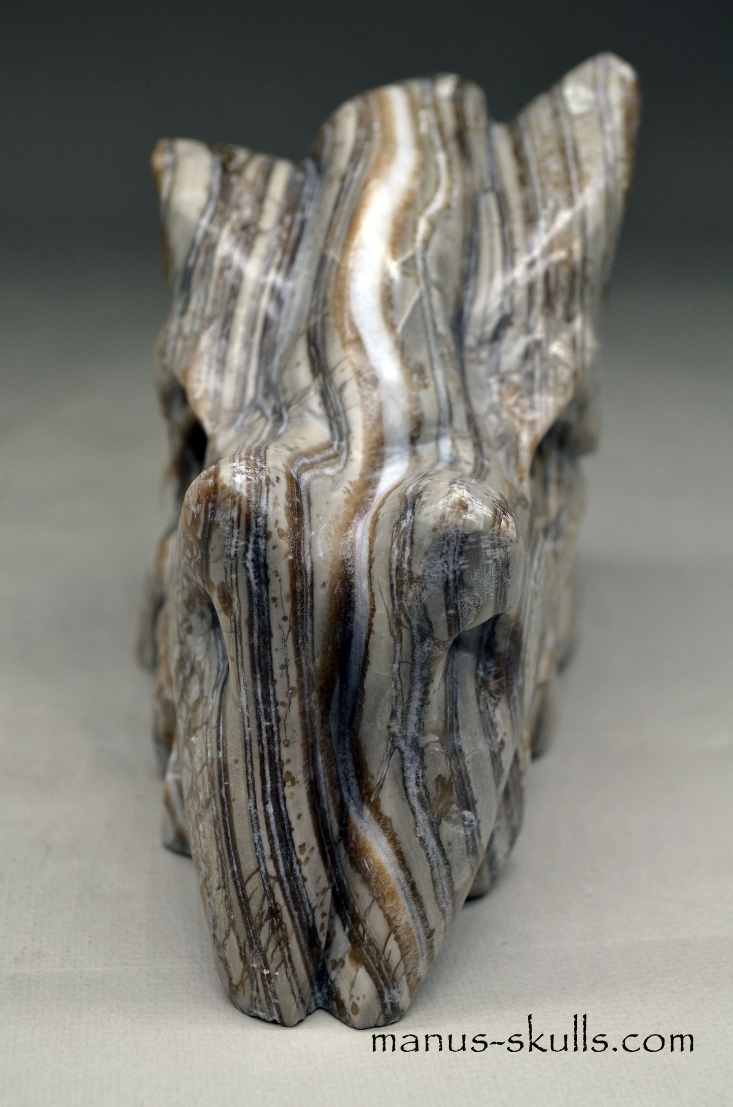 Layered Brazilian ZEBRA CALCITE Manus DRAGON