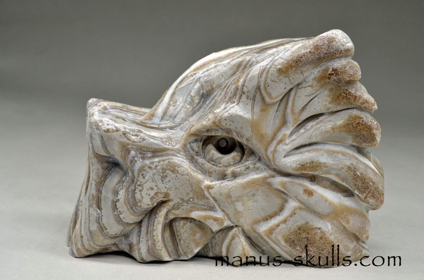 Layered Brazilian ZEBRA CALCITE Manus DRAGON