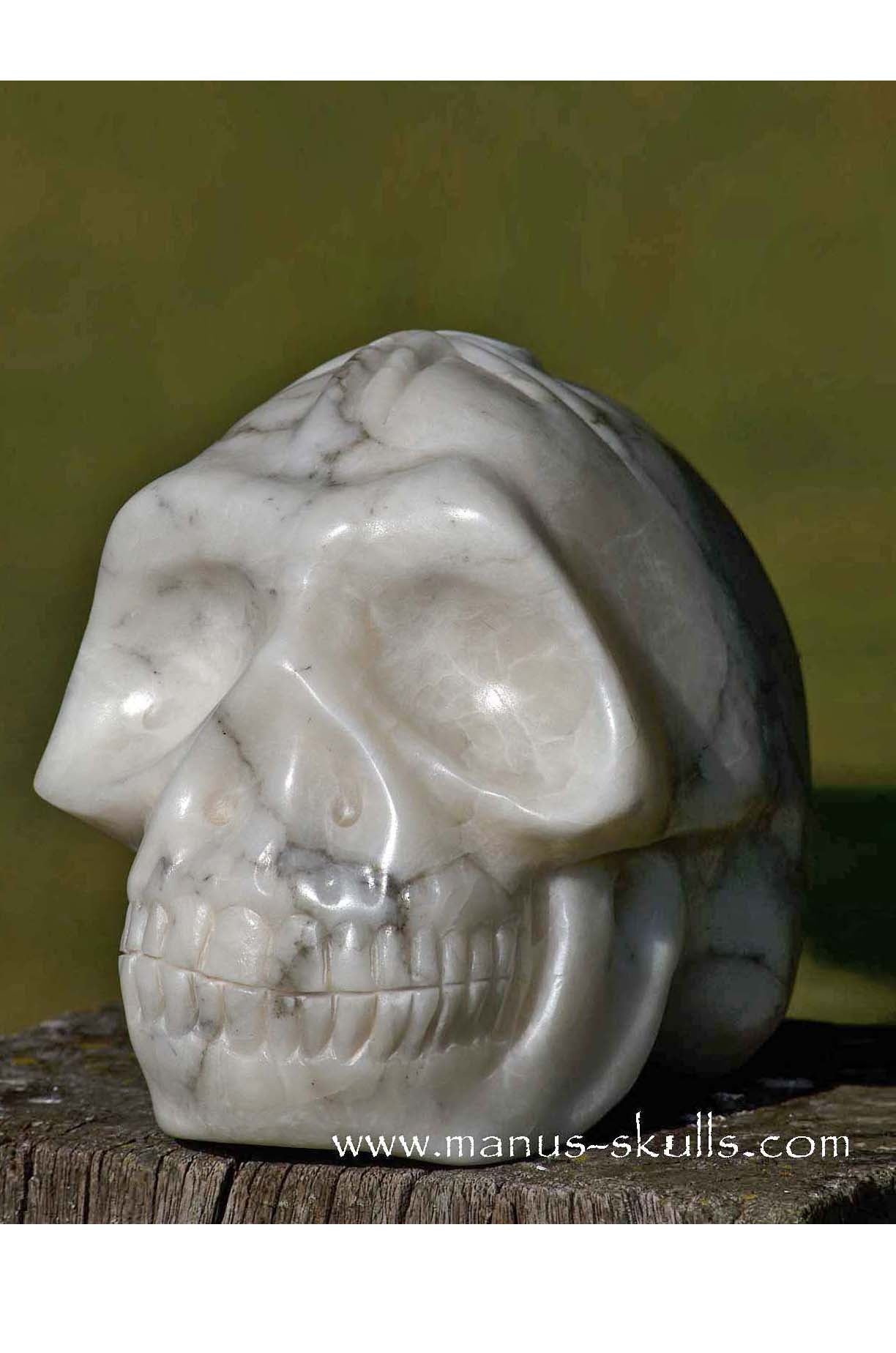 Large Alabaster Skull with Ankh Symbol