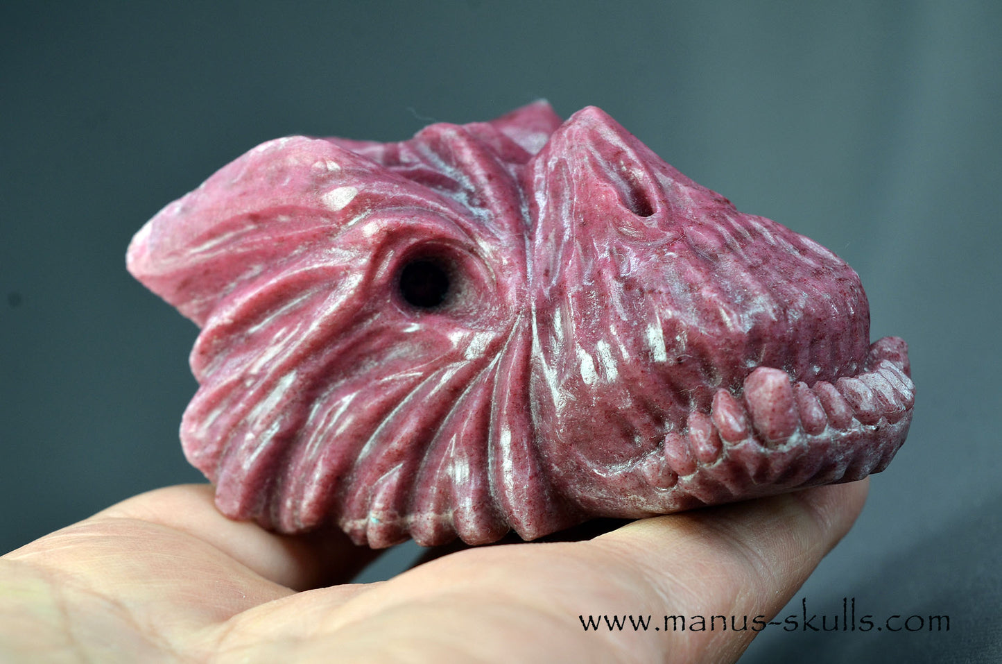 Detailed Thulite Dragon
