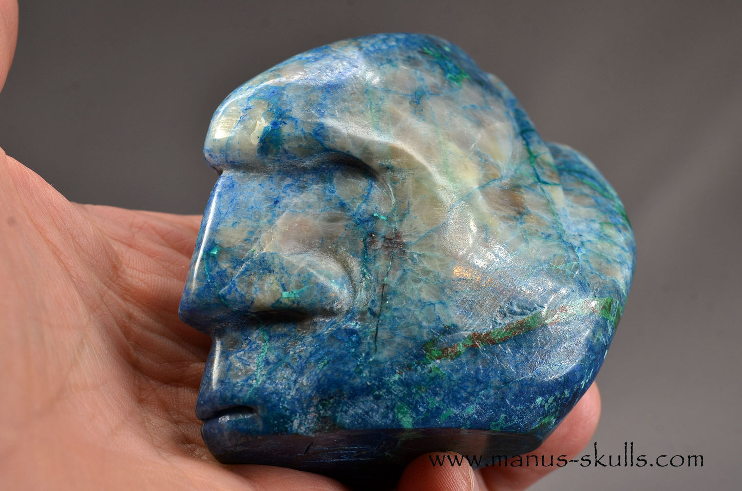 Beautiful Quantum Quattro Tribal Skull (#085)