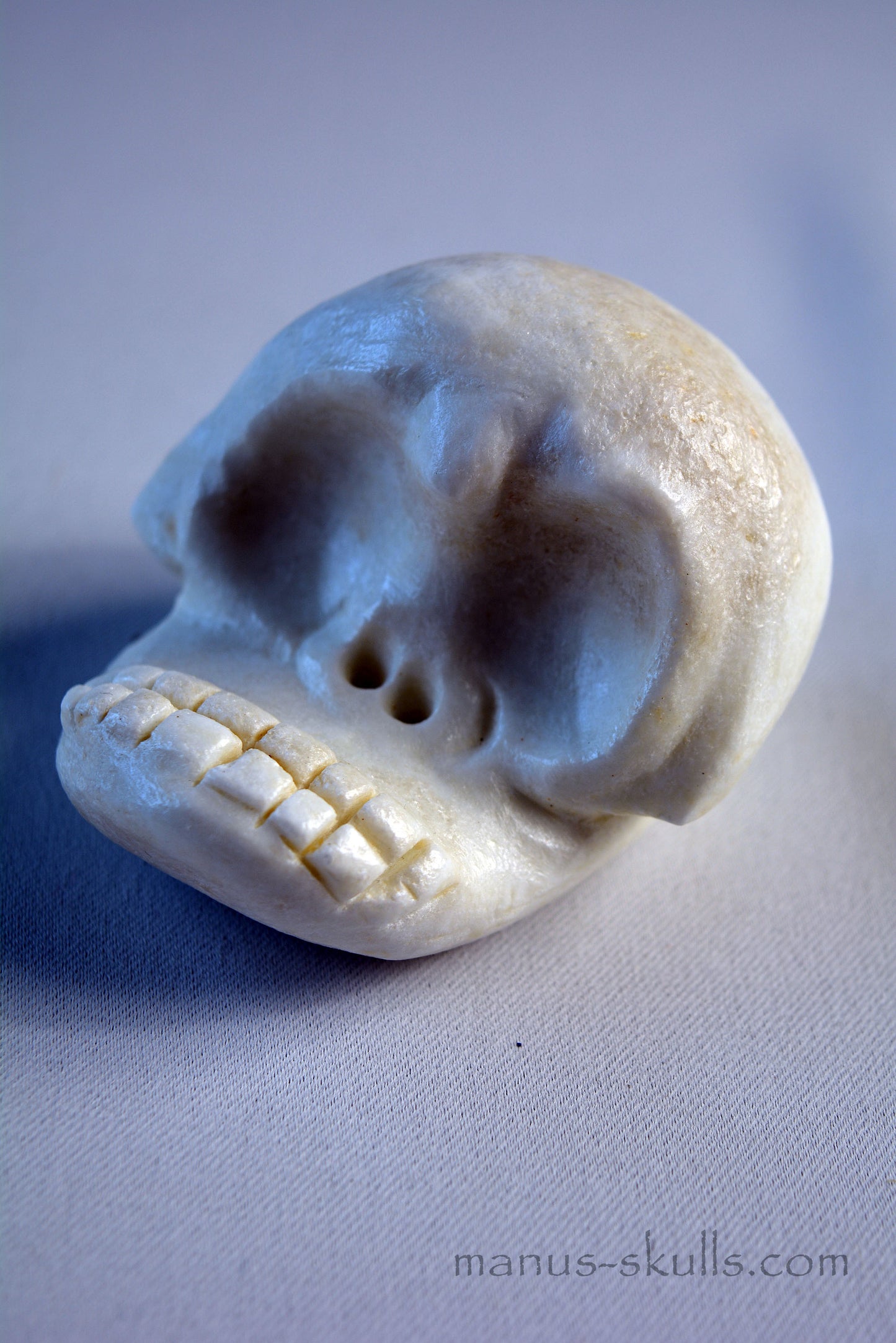 Evolian Manus Skull 2022