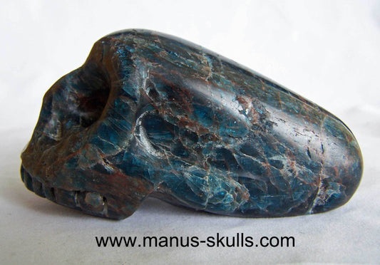 Apatite Traveller Skull