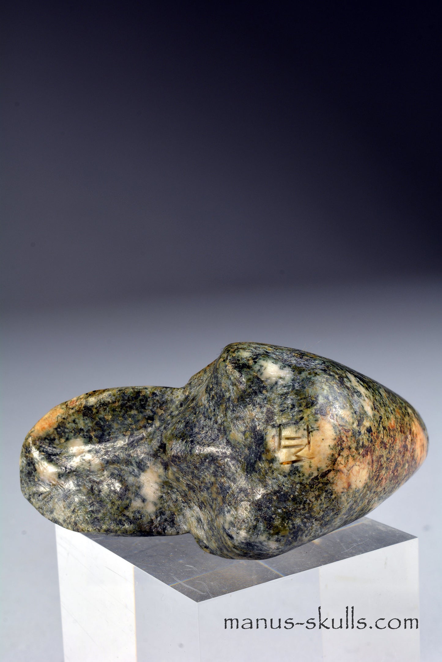 Preseli Bluestone Conehead Skull