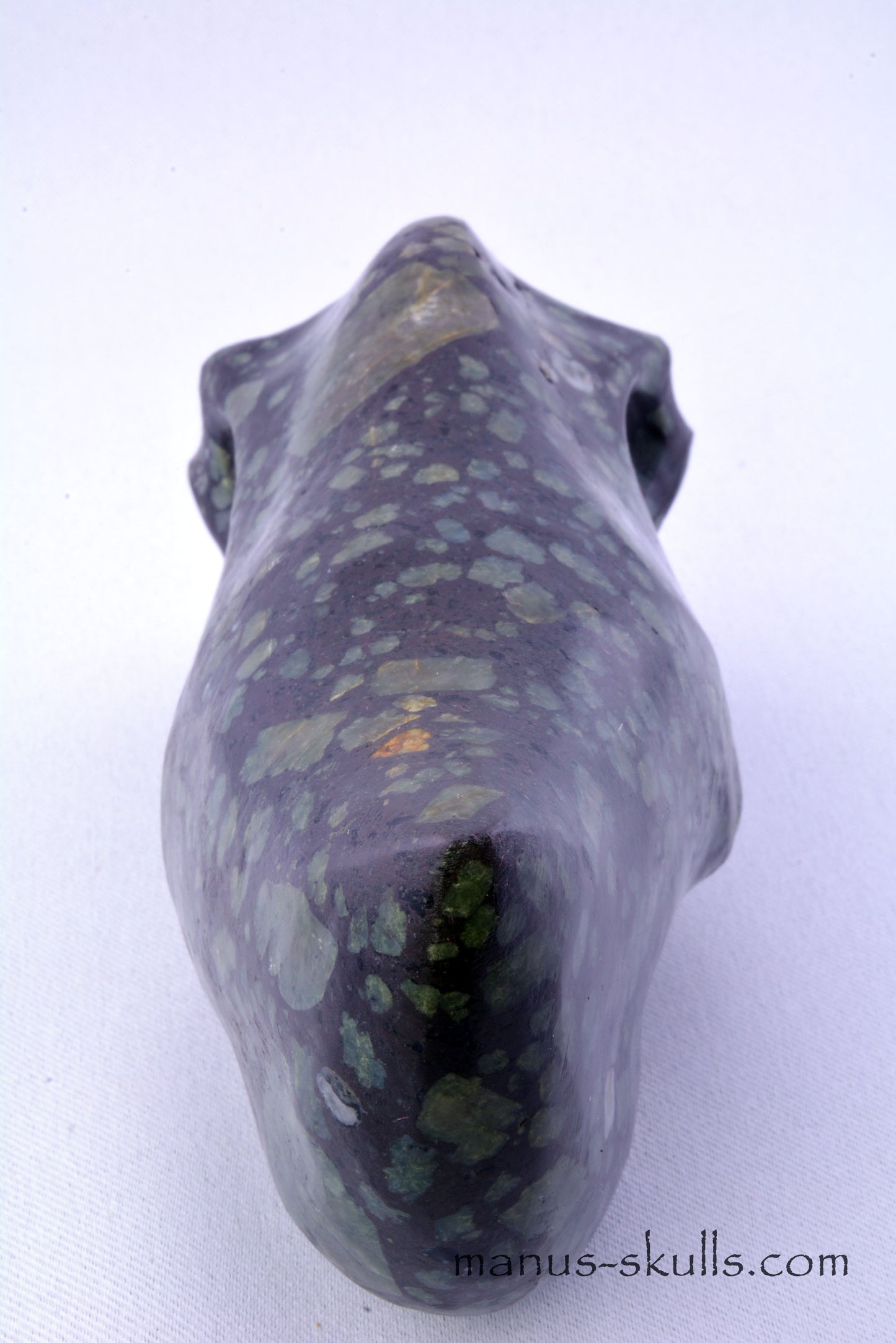 LAKELANDITE Traveller Skull