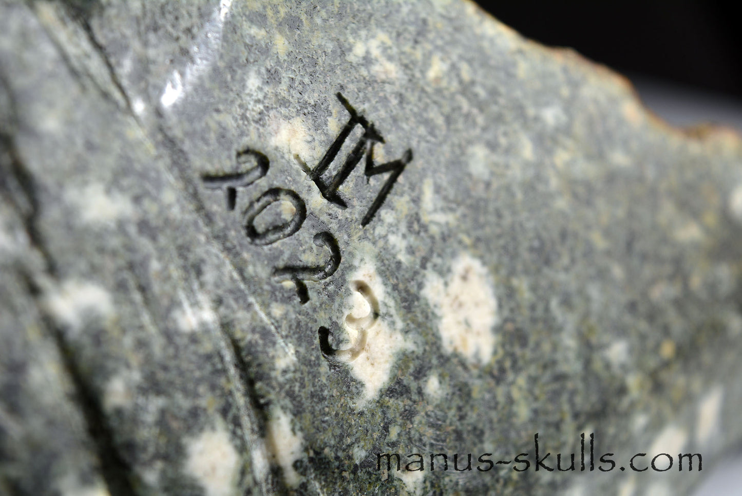 Large Preseli Bluestone Dragon