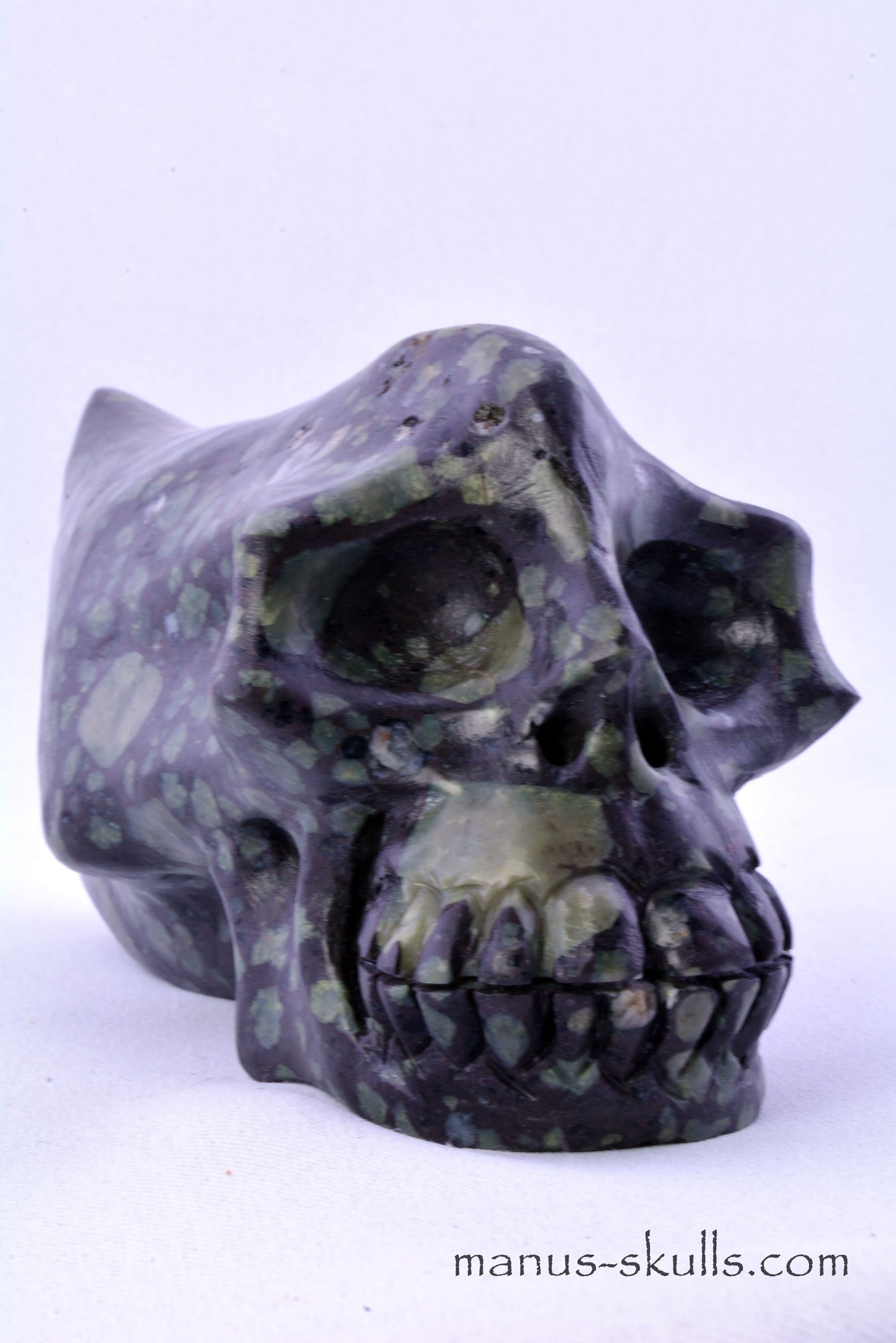 LAKELANDITE Traveller Skull