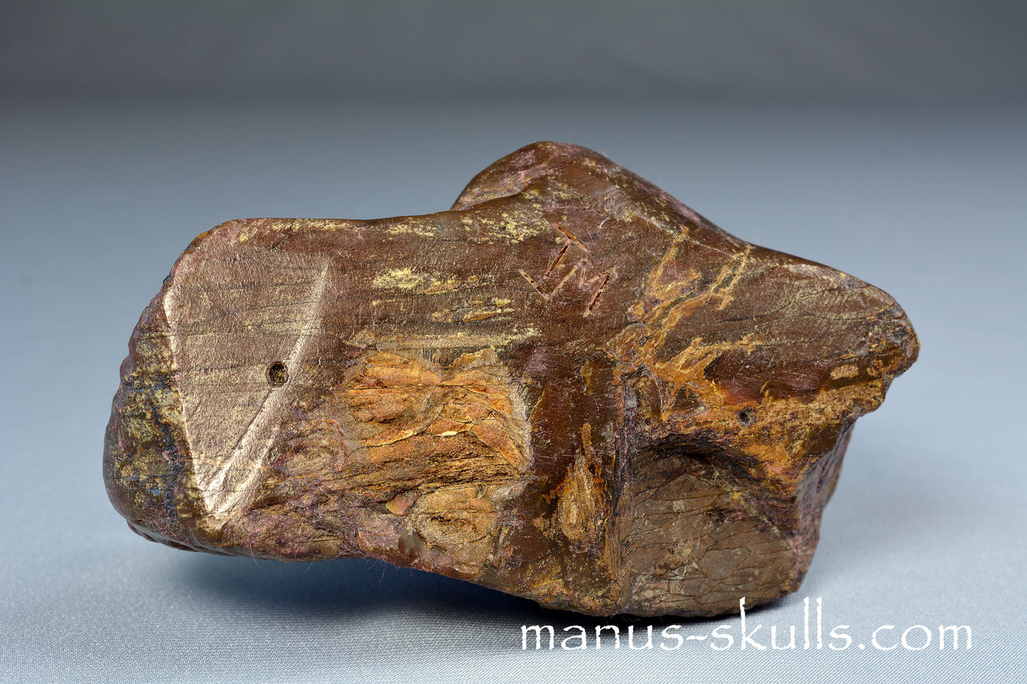 Indonesian Amber Skull