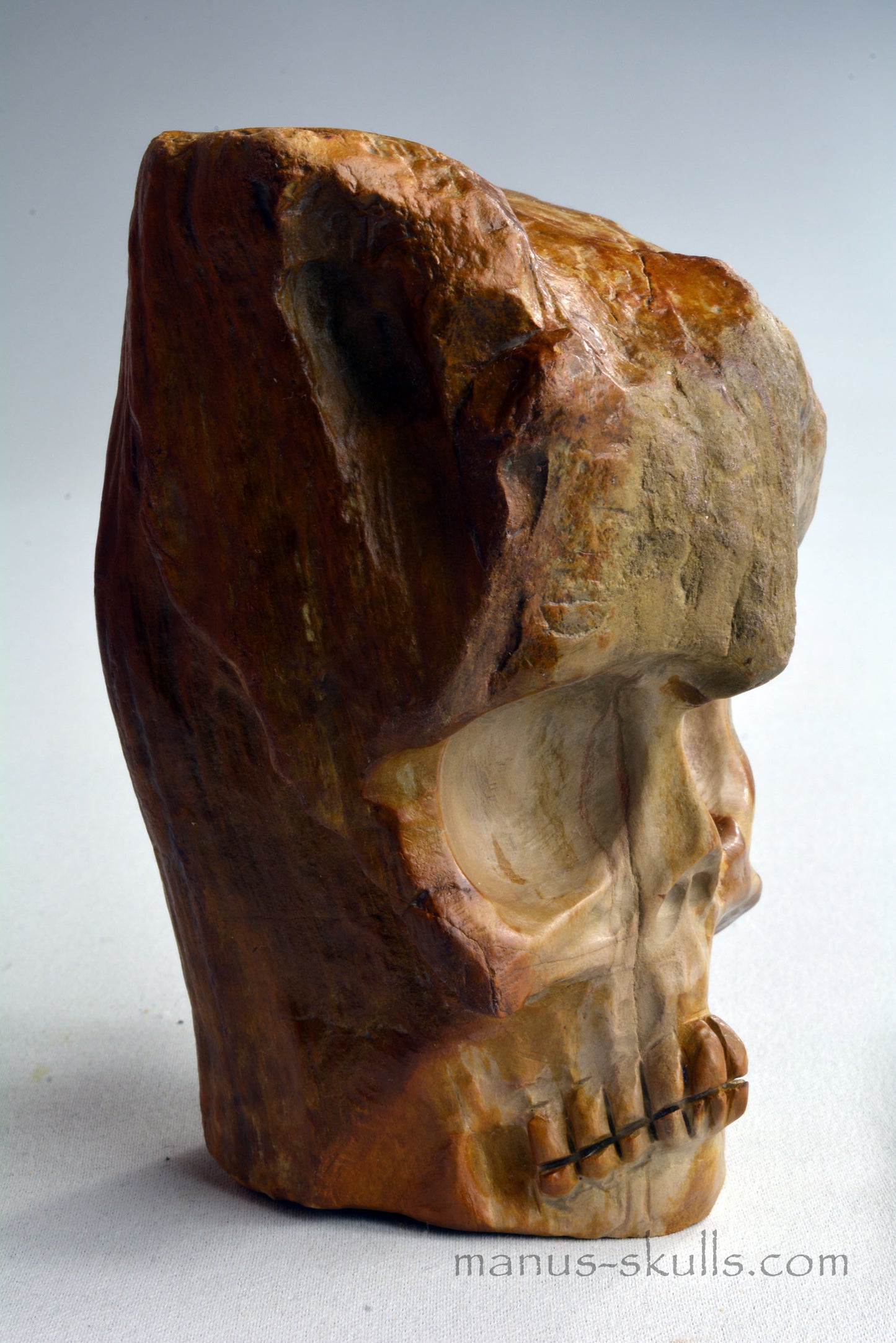 Petrified Wood Skull