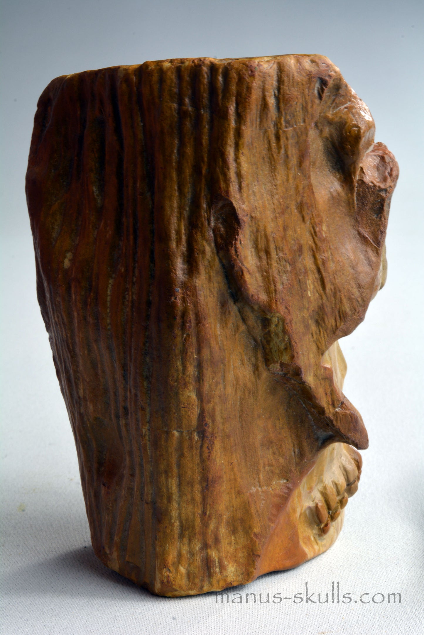 Petrified Wood Skull