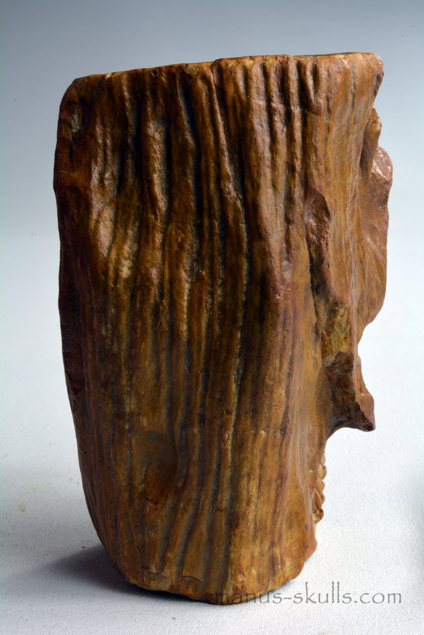 Petrified Wood Skull