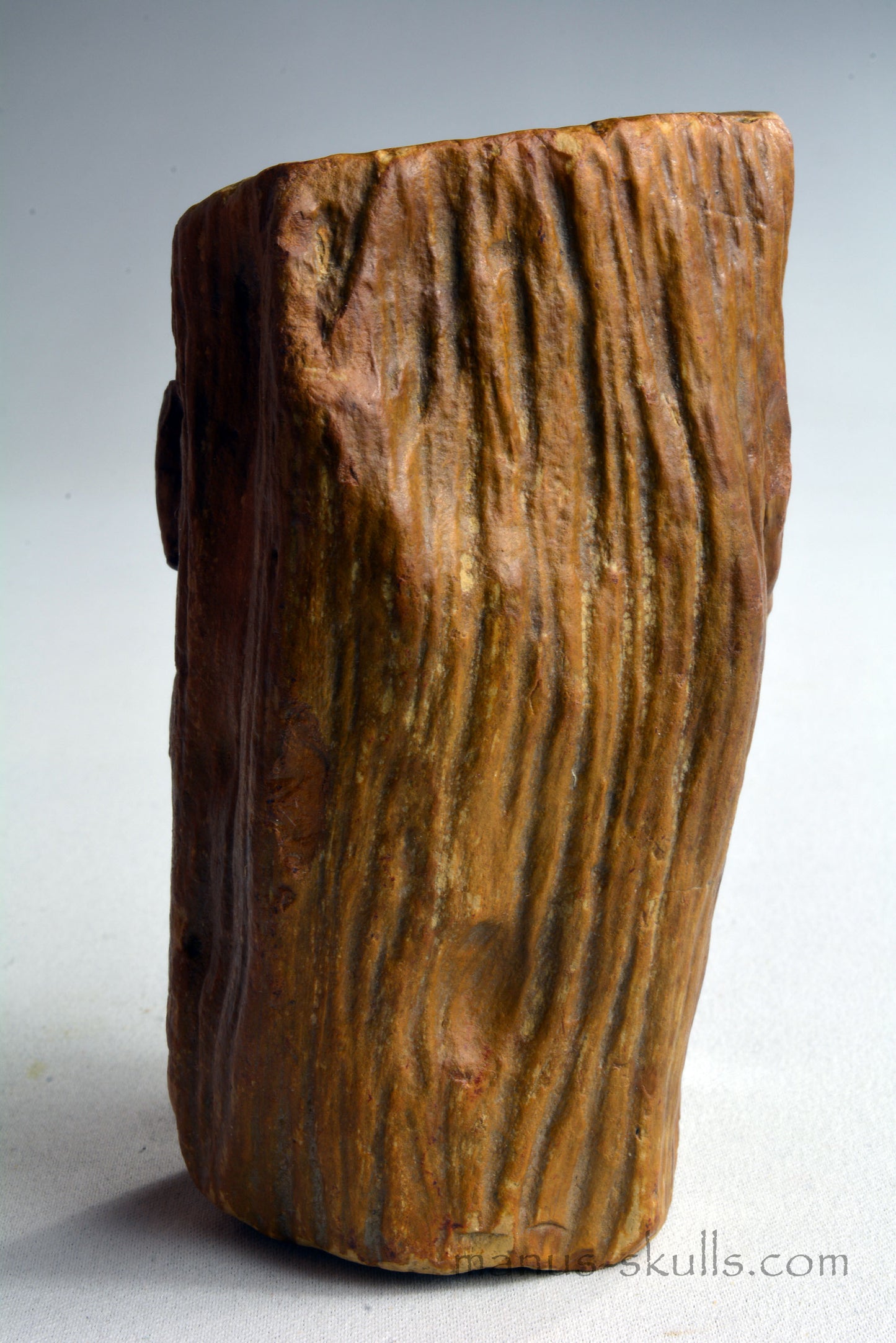 Petrified Wood Skull