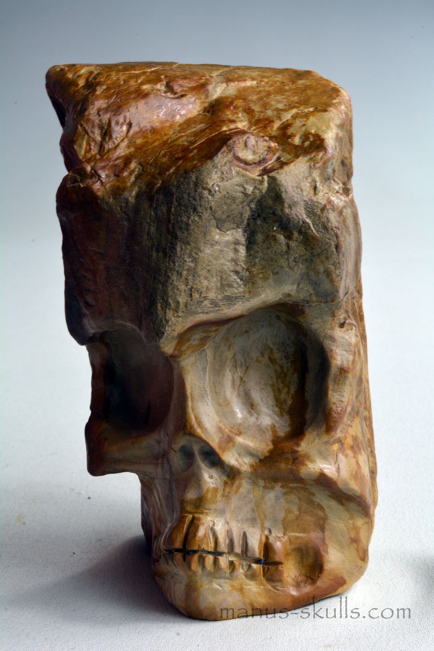 Petrified Wood Skull