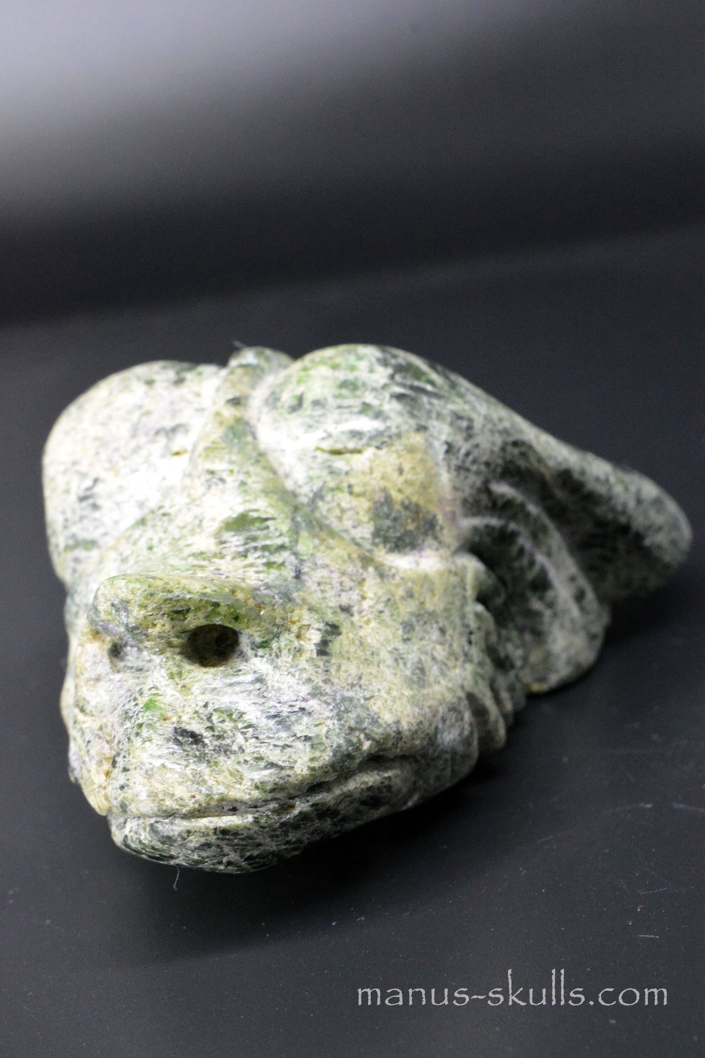 Chromite in Diopside Dragon