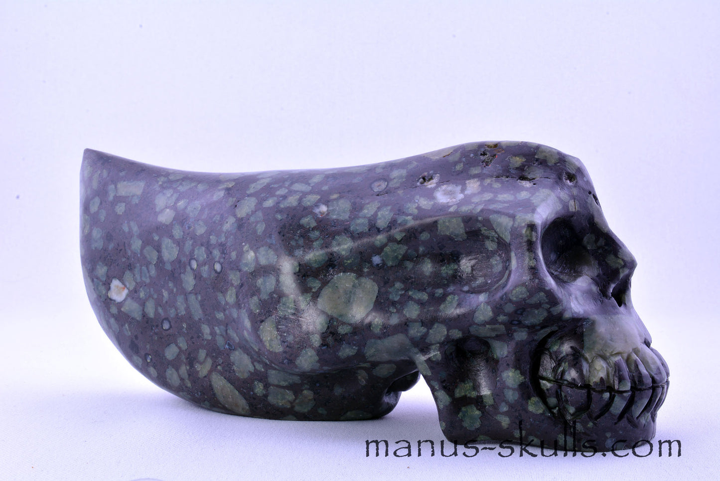 LAKELANDITE Traveller Skull