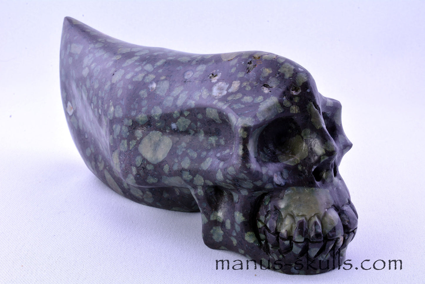 LAKELANDITE Traveller Skull