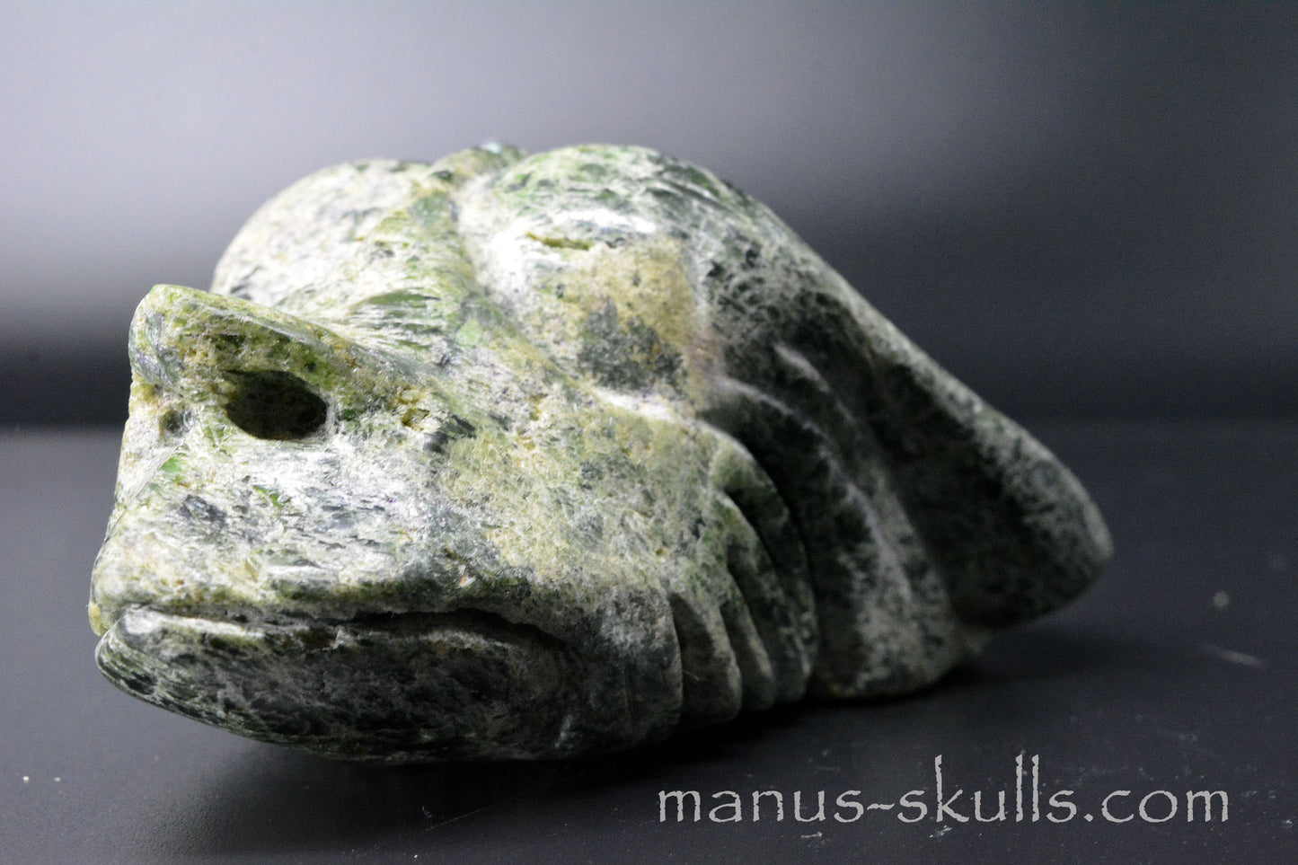Chromite in Diopside Dragon