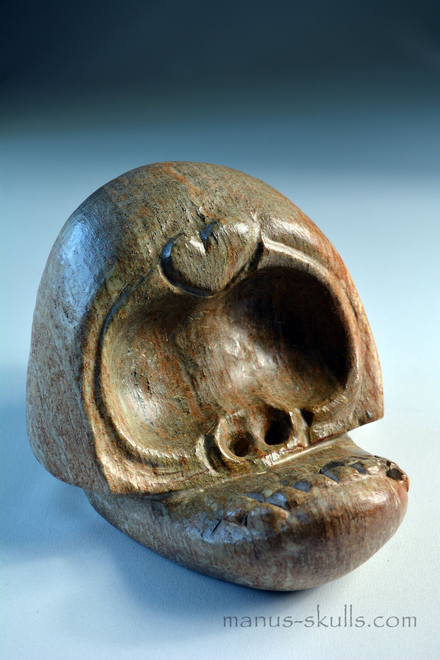 Evolian Manus Skull 2022