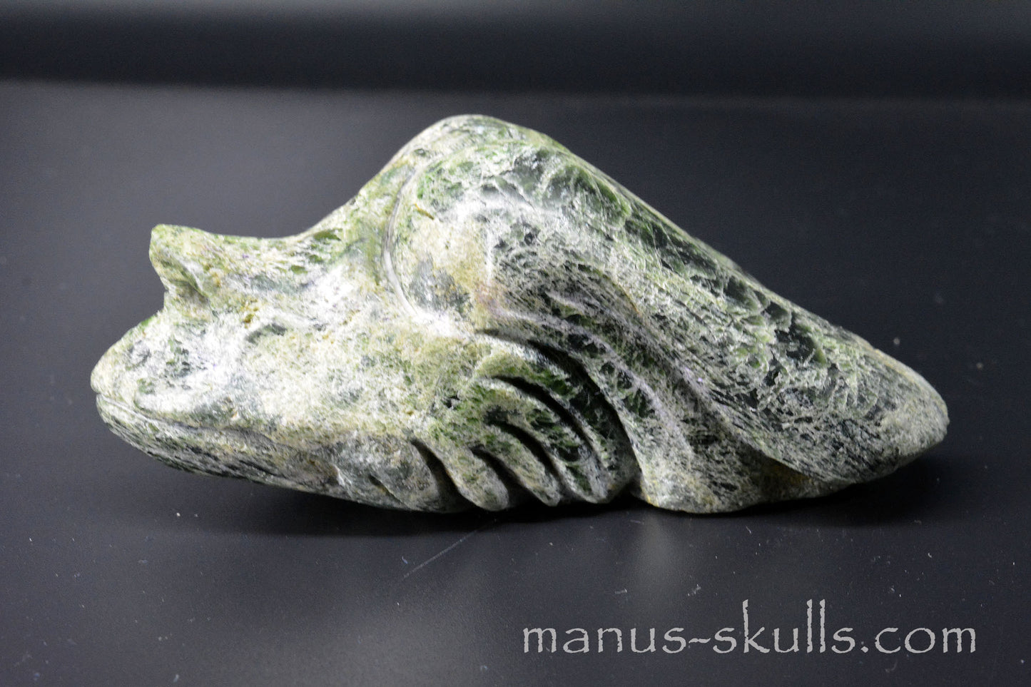 Chromite in Diopside Dragon