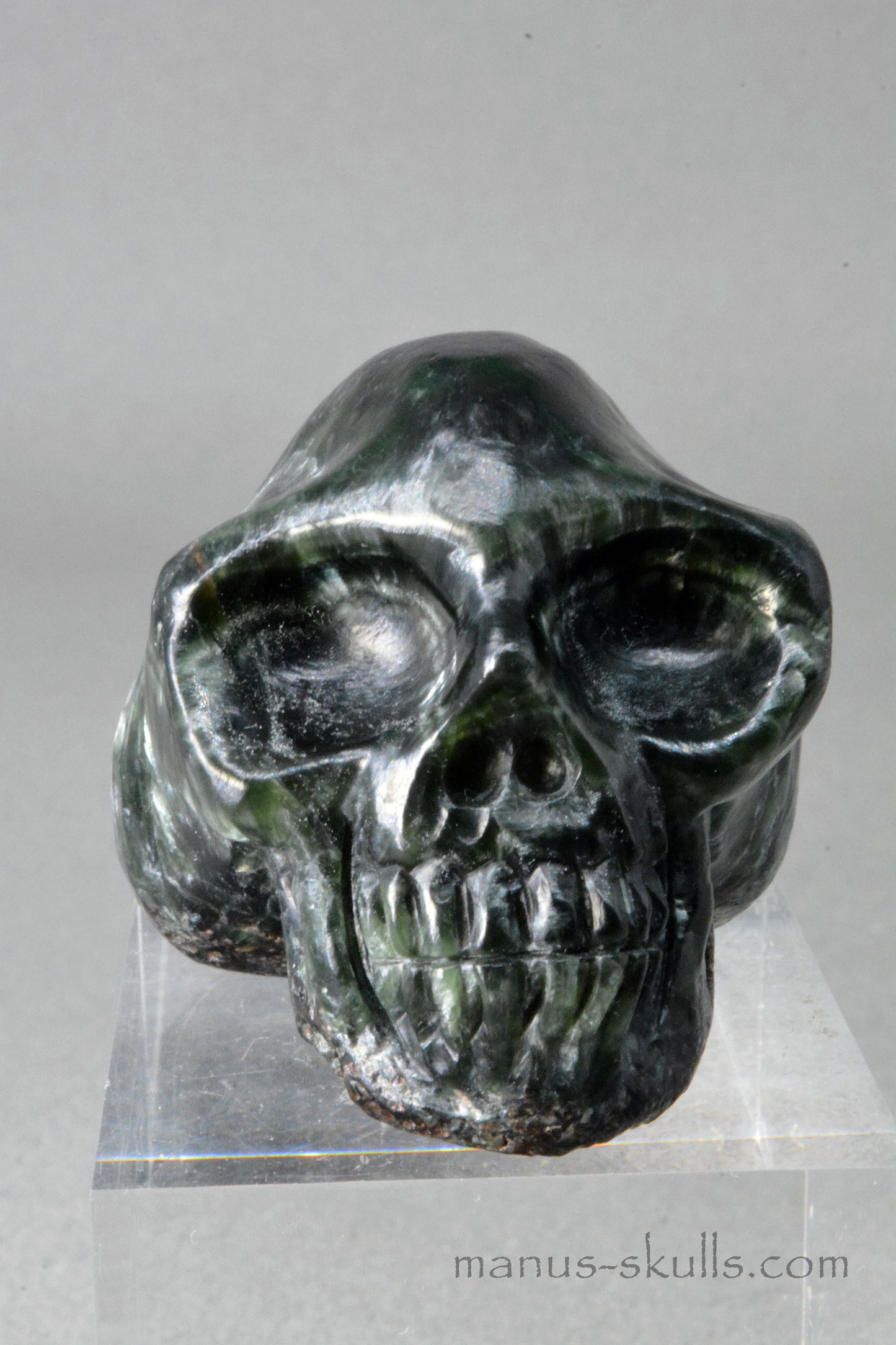 Seraphinite Skull