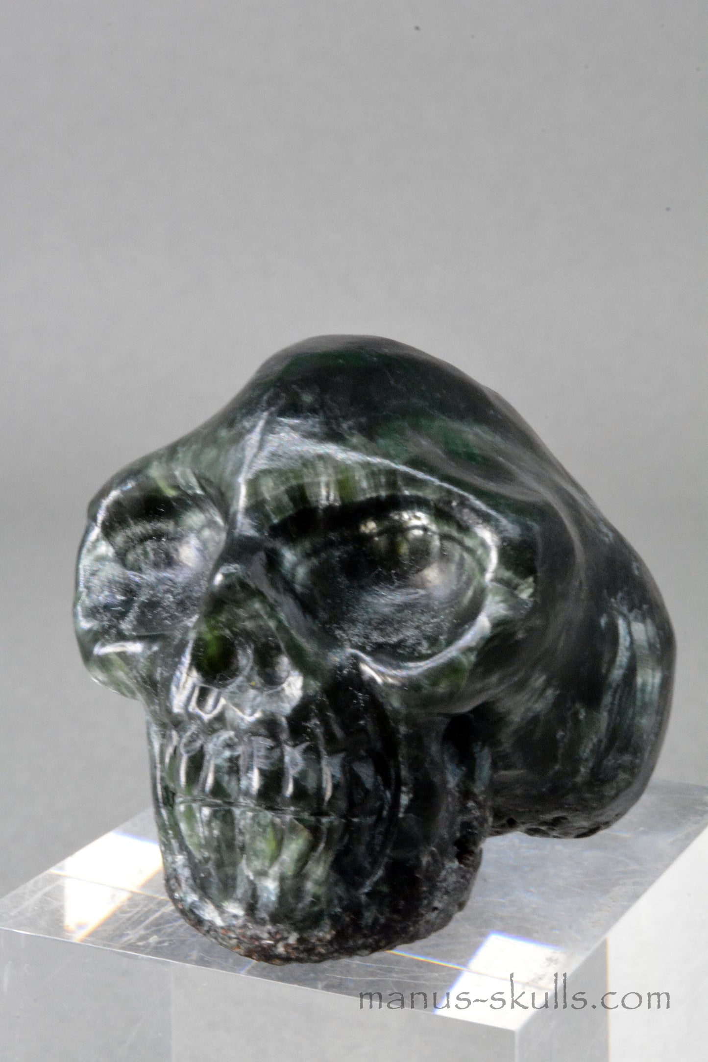 Seraphinite Skull
