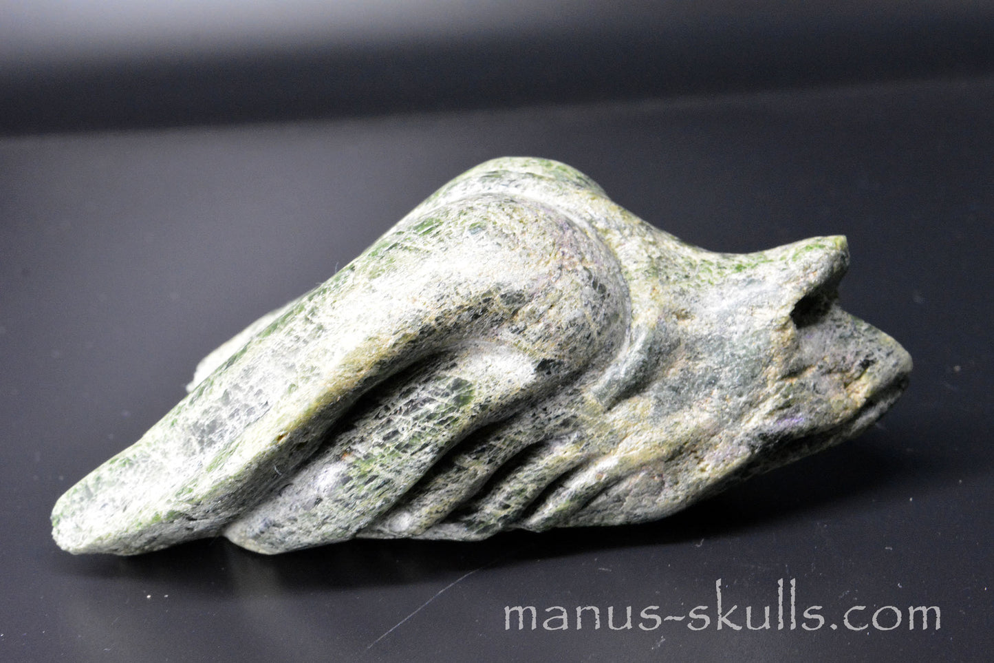 Chromite in Diopside Dragon