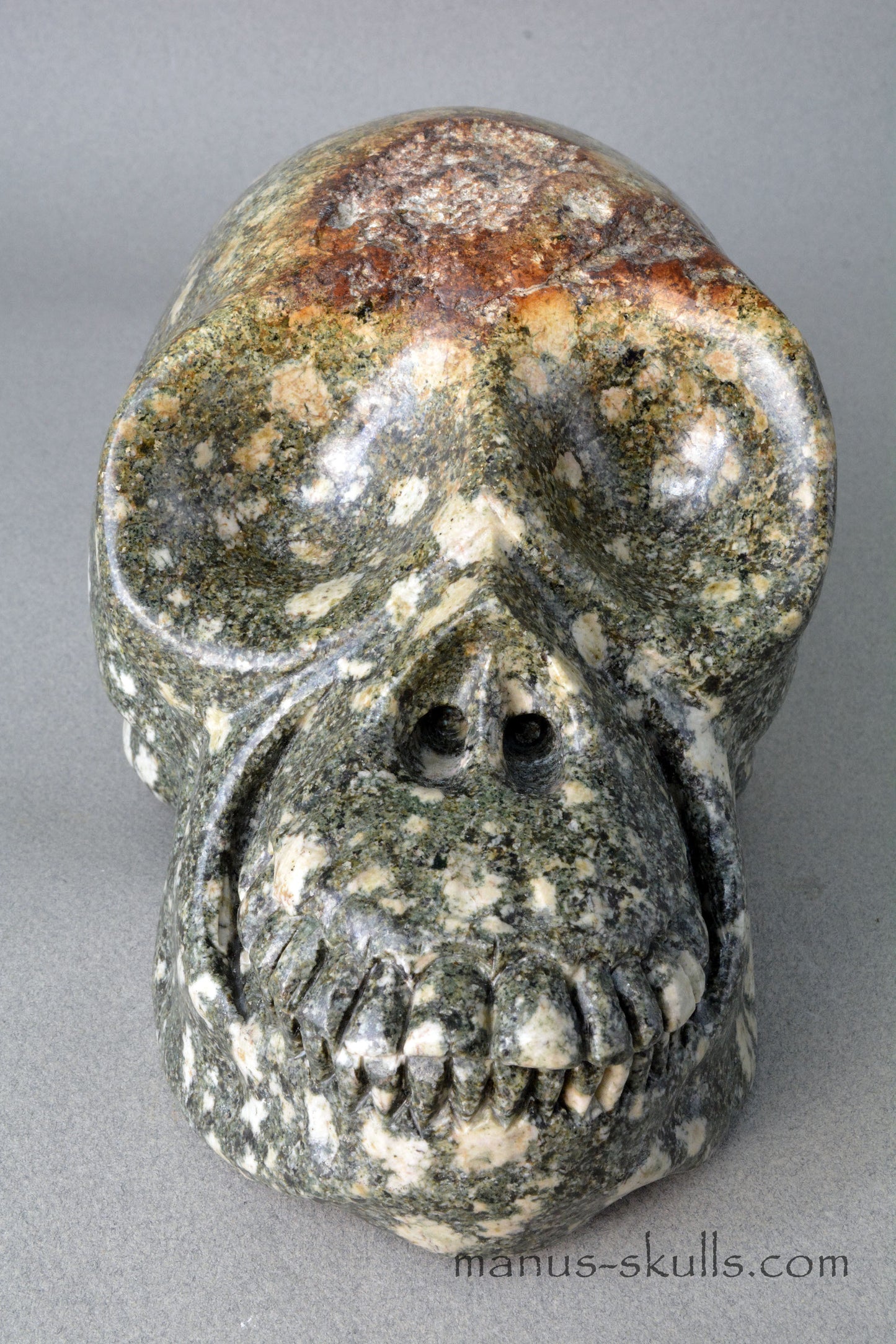 Preseli Bluestone open minded Skull