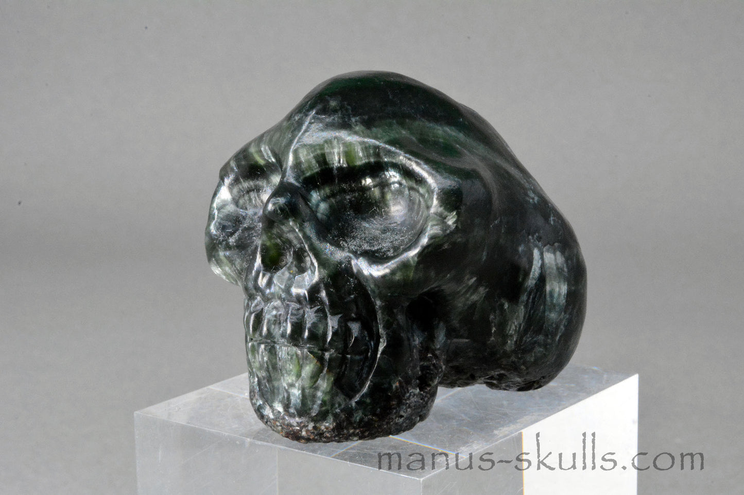 Seraphinite Skull