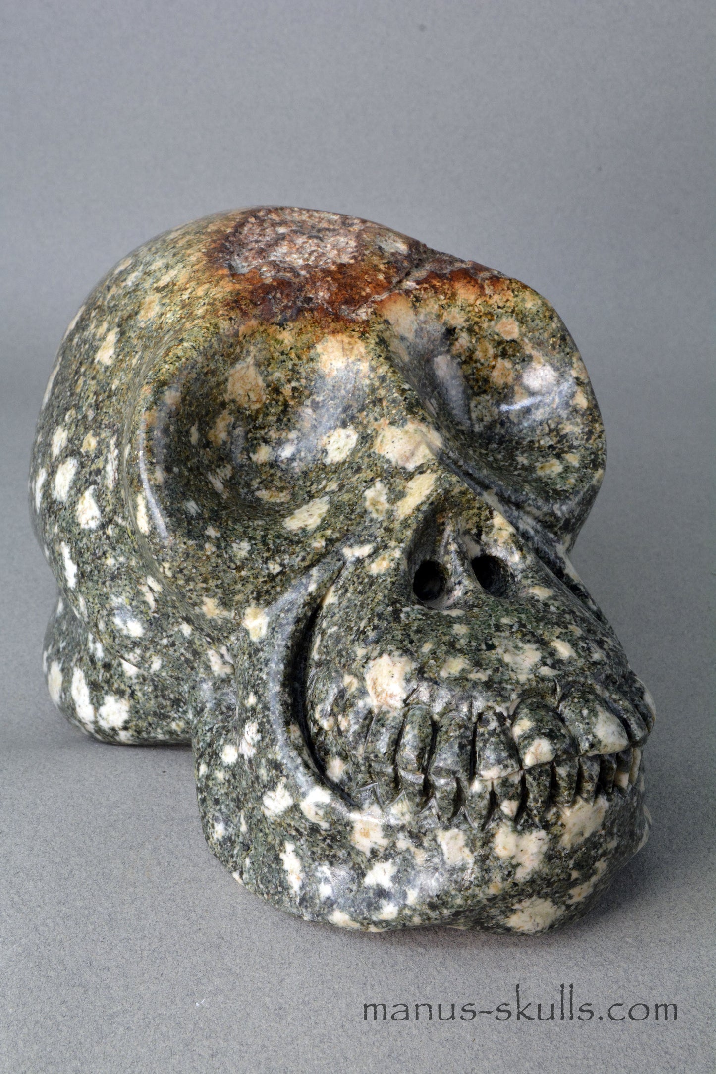 Preseli Bluestone open minded Skull