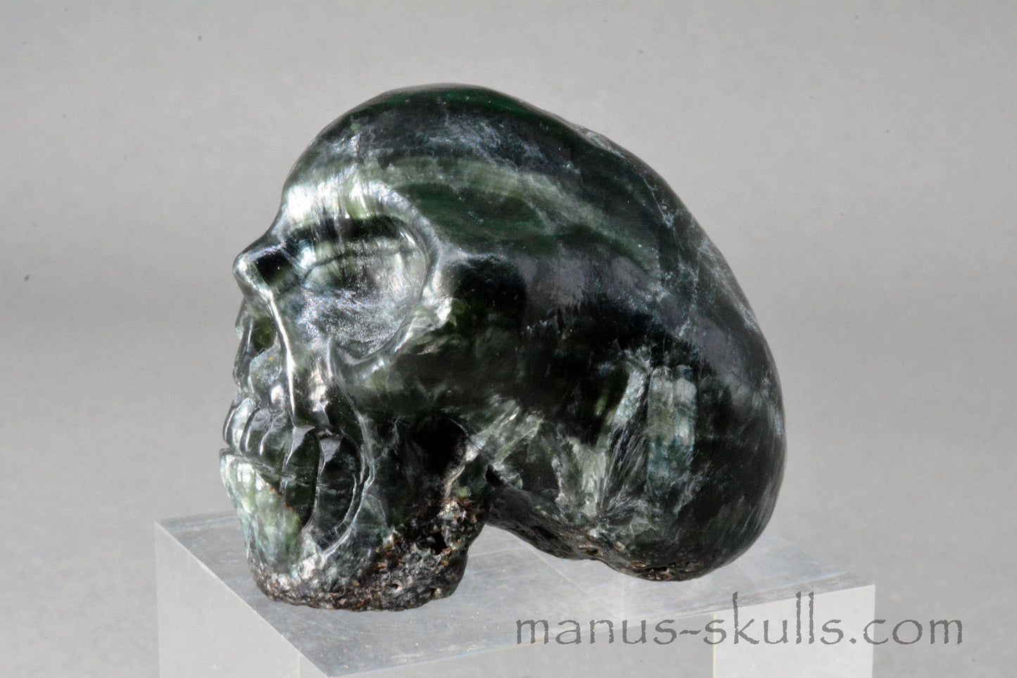 Seraphinite Skull